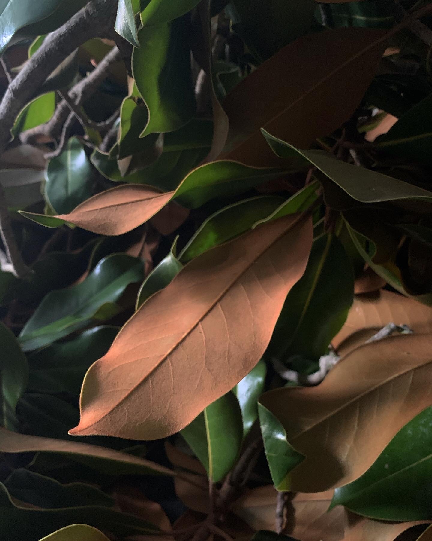 317456E4-508B-4BE4-B43E-8BF45D5F8819