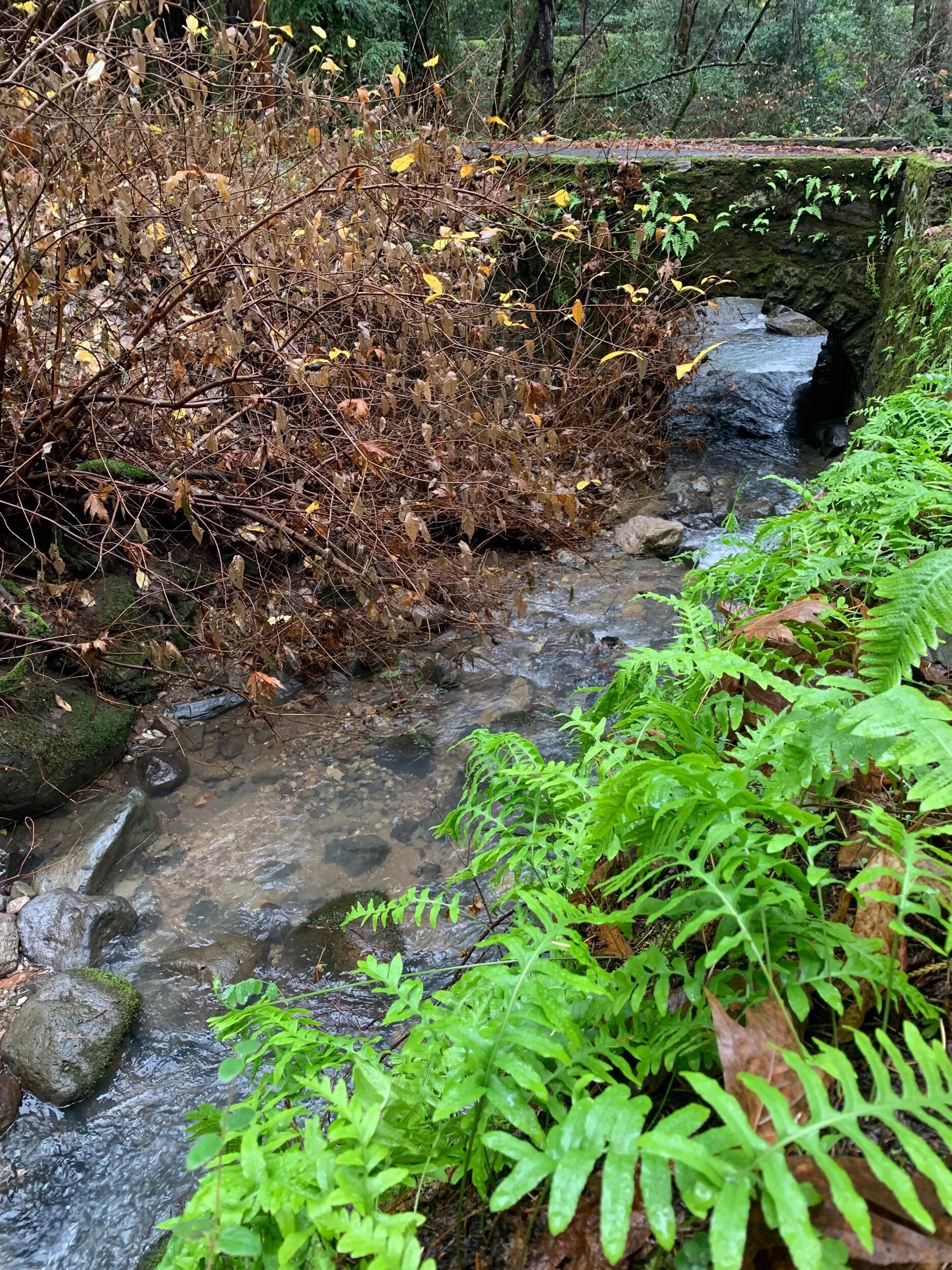 DAC6A0EF-EEE7-42D6-91C0-0D806CFCD5AC