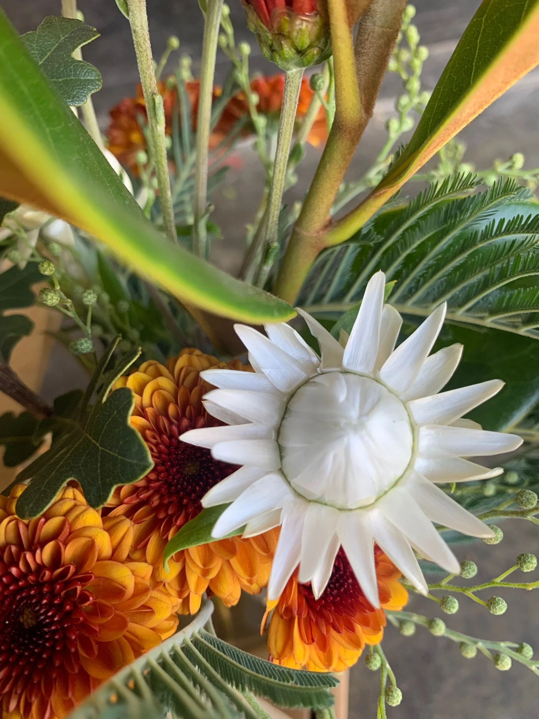 3EE9DF06-A30D-4767-830C-0D3723528C97