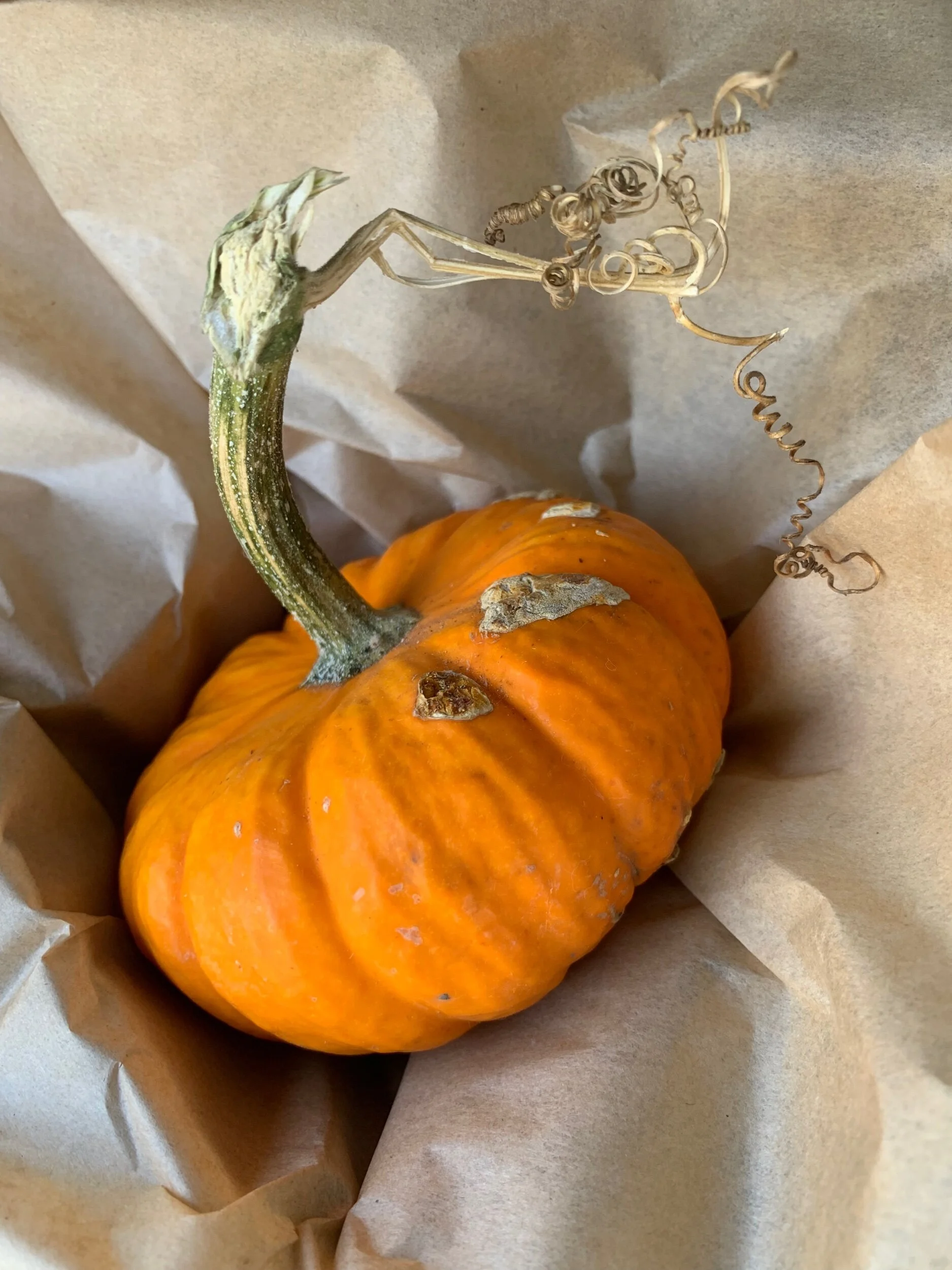 FEEBE791-A10D-4010-9730-0194481FC469