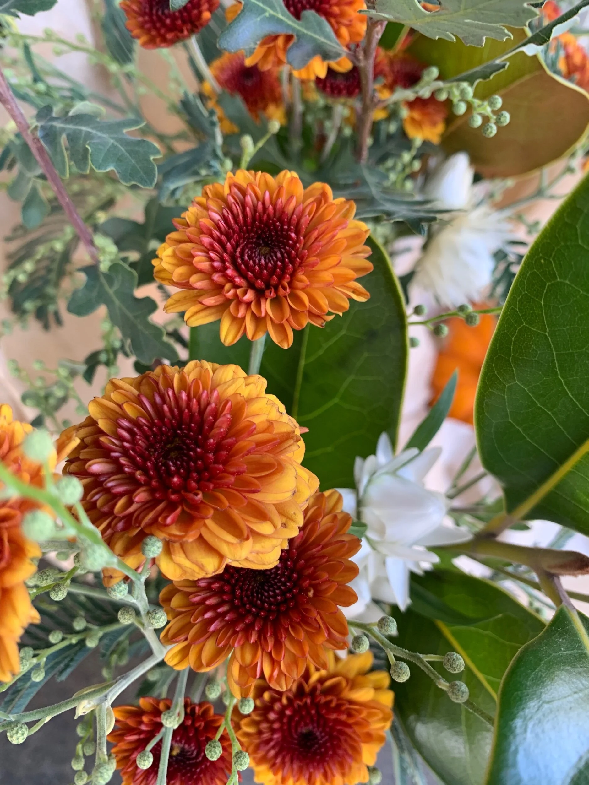 AB155ADC-4C30-42EC-8B1A-B4E81101F39C