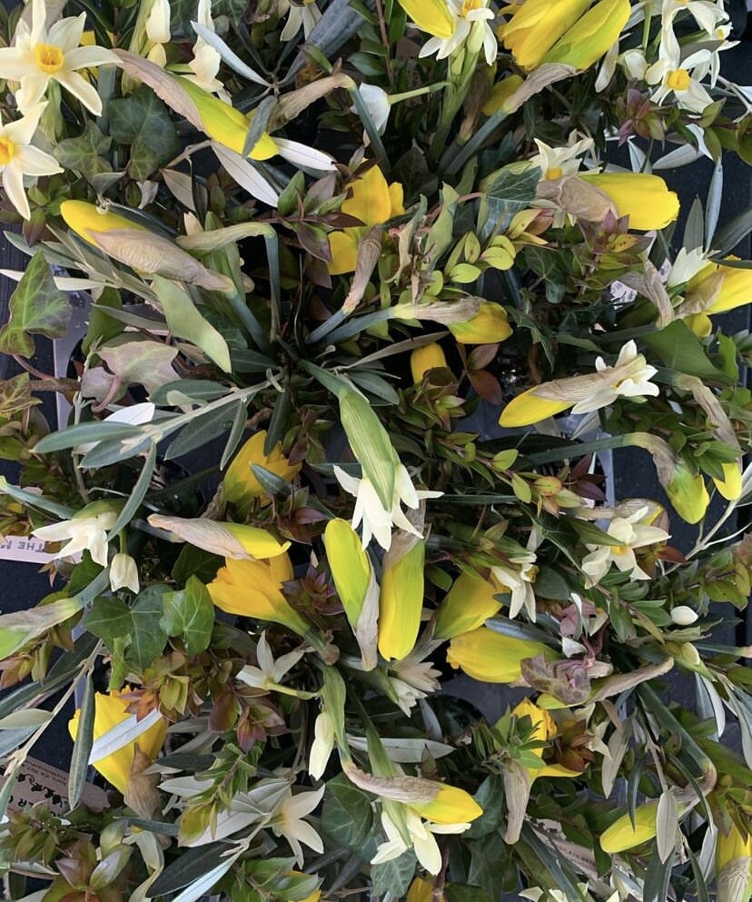 7F612FCC-7105-4AAF-ABA9-A26386C040F7