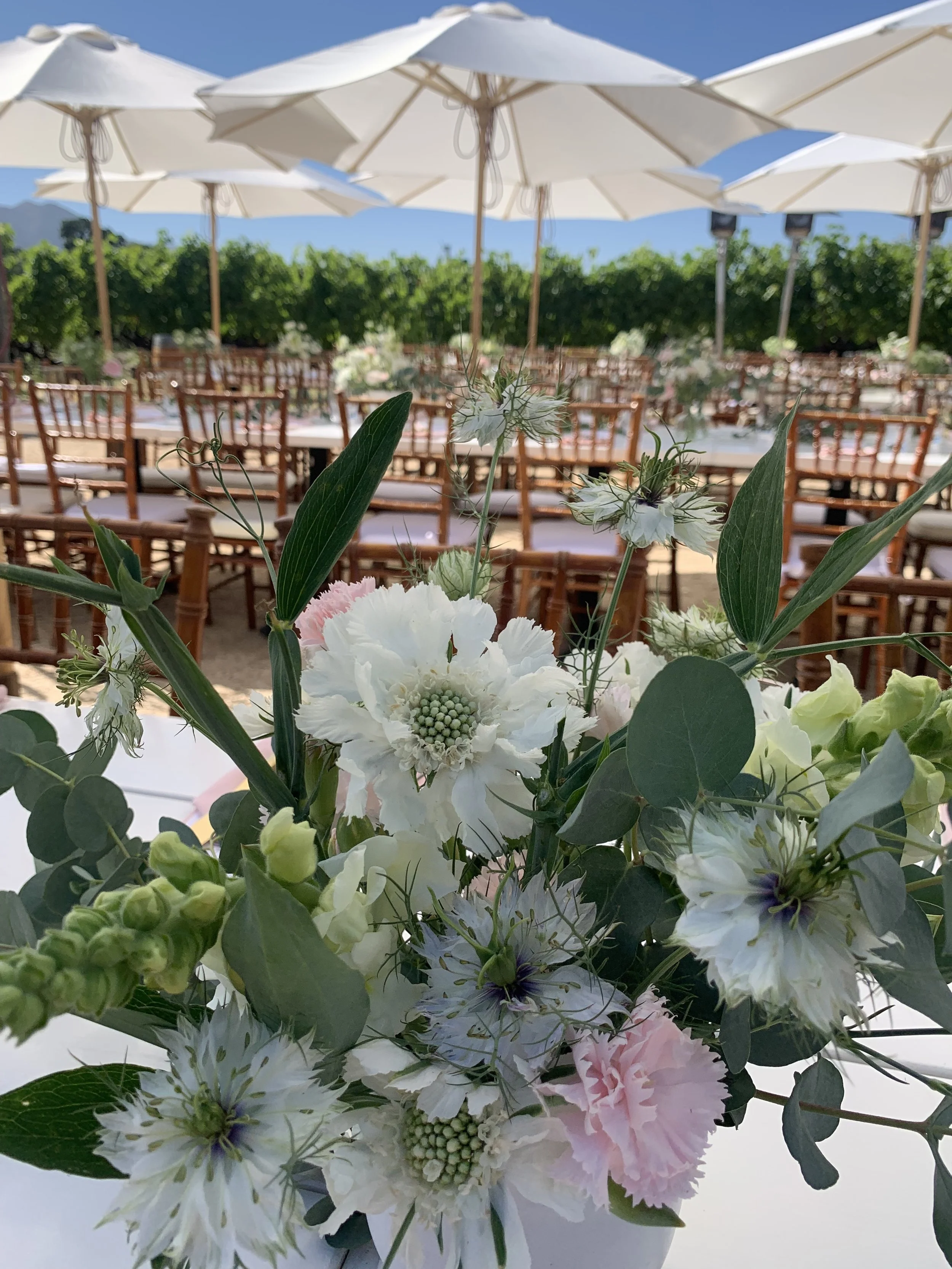 Photo Jul 07 2023, 4 37 33 PM.jpg