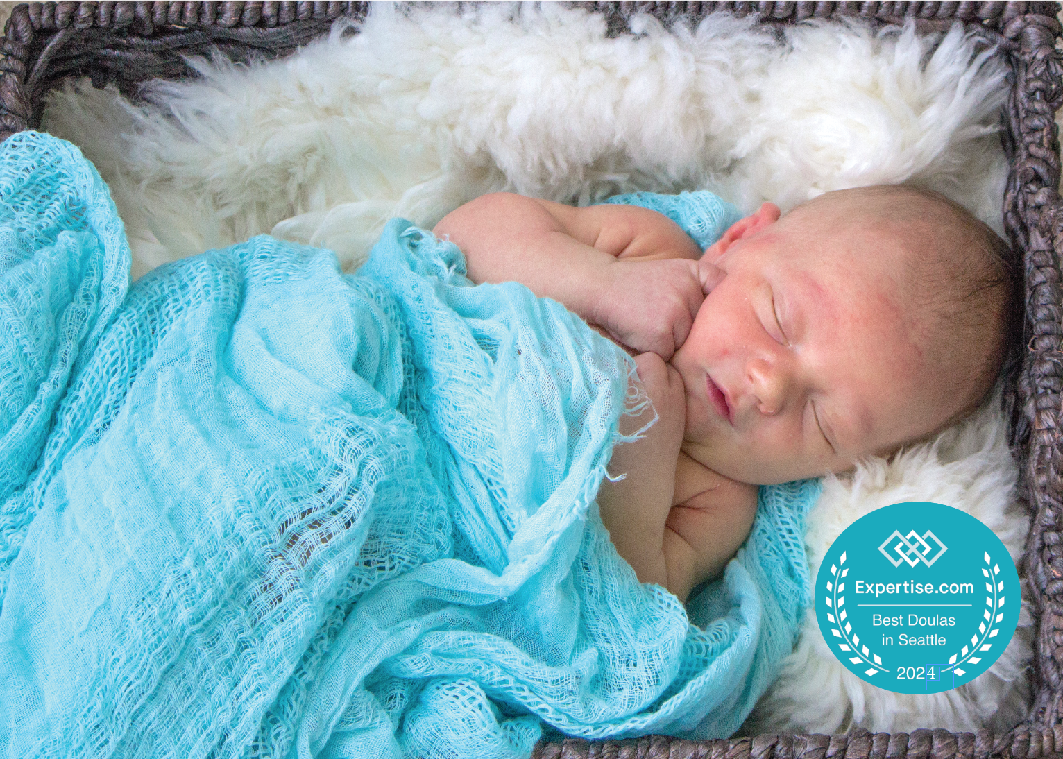 Screen Shot 2024-02-08 at 7.29.32 PM.png