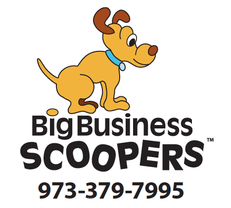 Featured Page: Big Business Scoopers