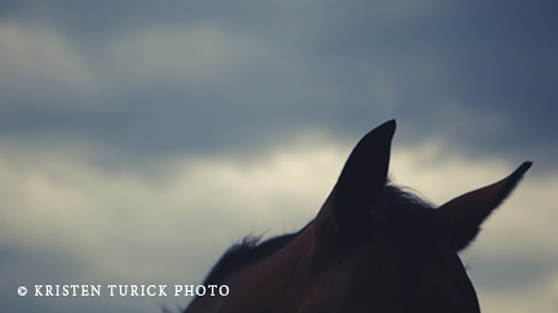 INTERVIEW WITH PHOTOGRAPHER KRISTEN TURICK Photography West Orange, NJ Posted Monday, December 19, 2016