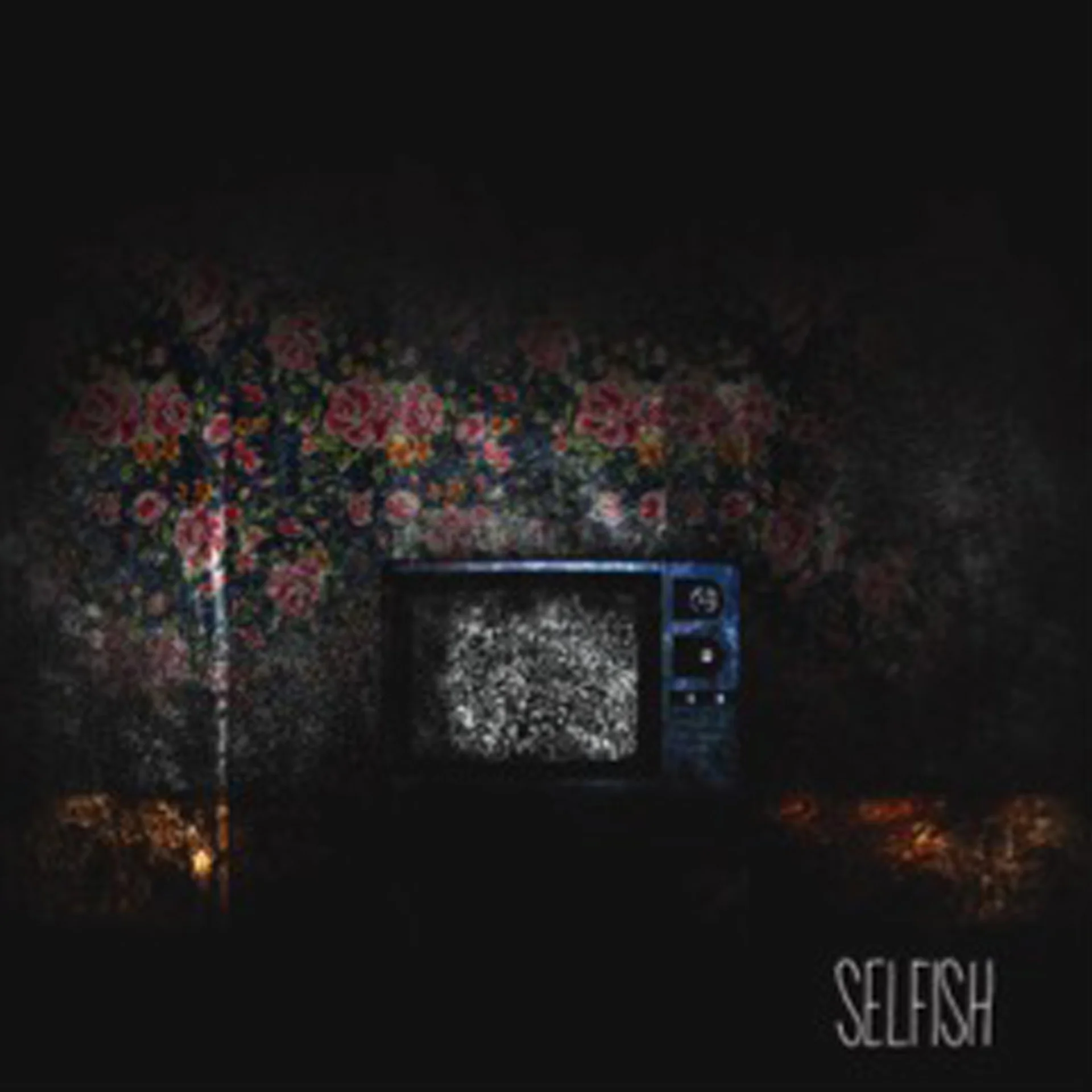 Parkwood - Selfish.jpg