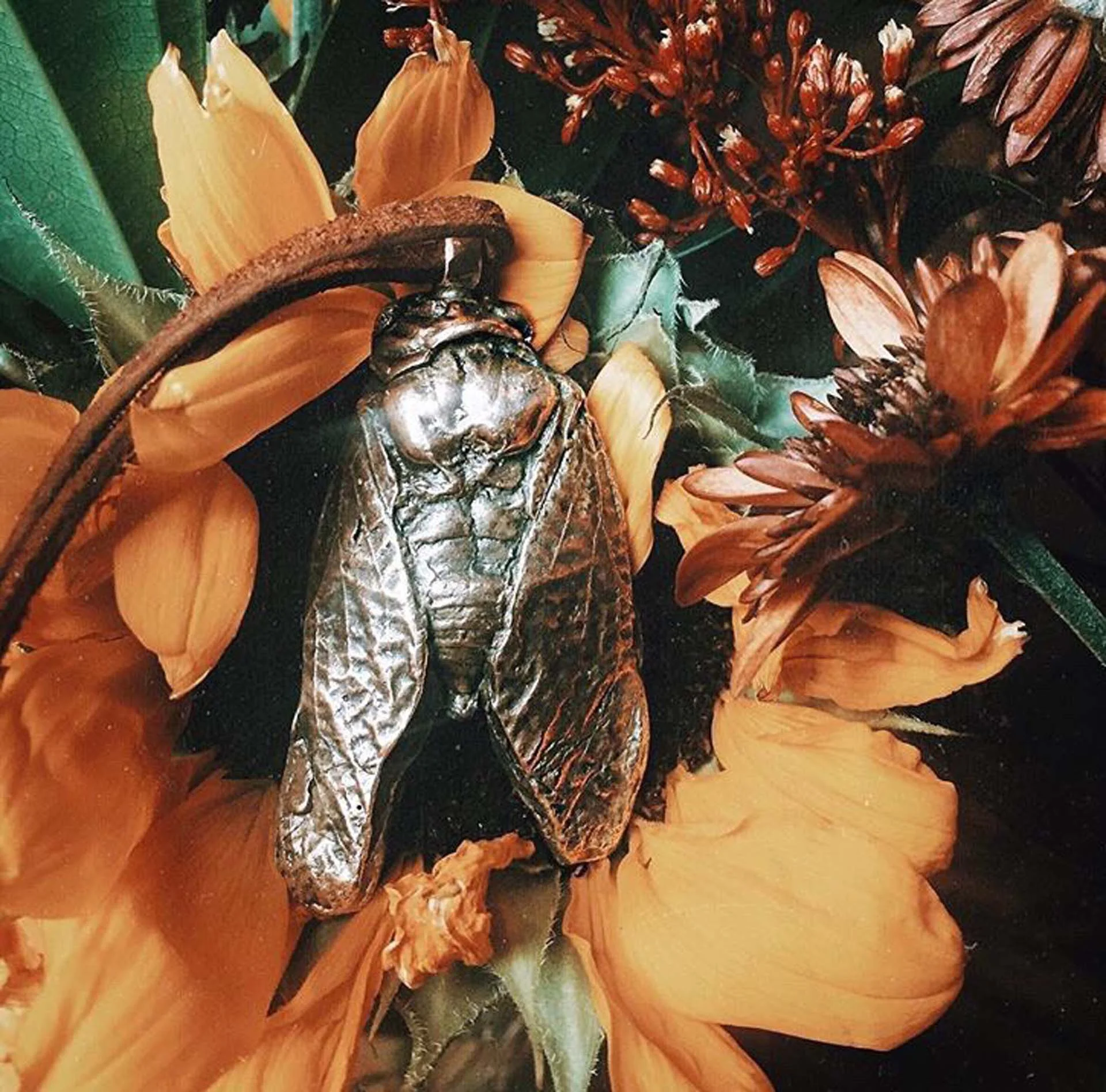 Interview with Artist Jenna Corso