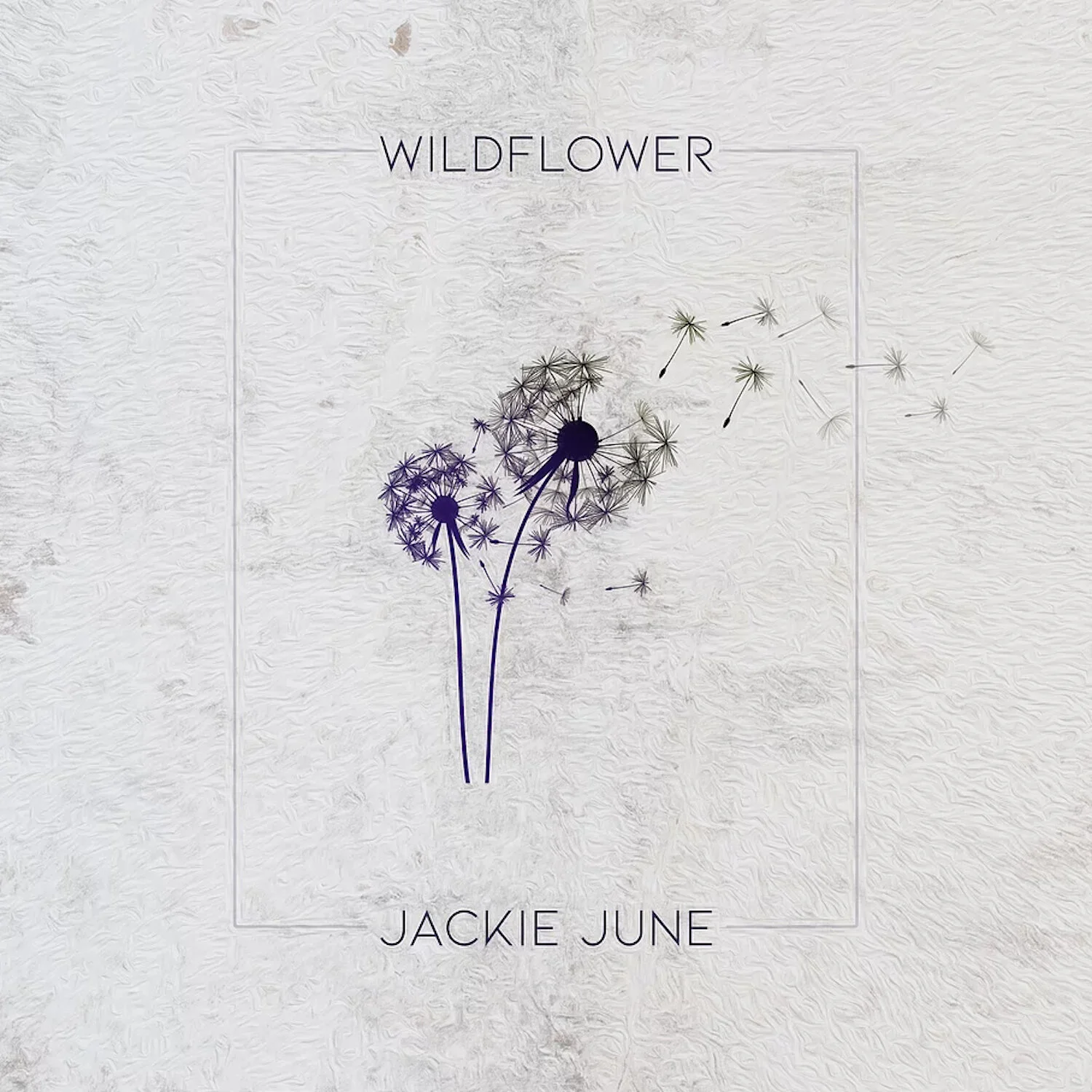 Jackie June Wildflower.jpg