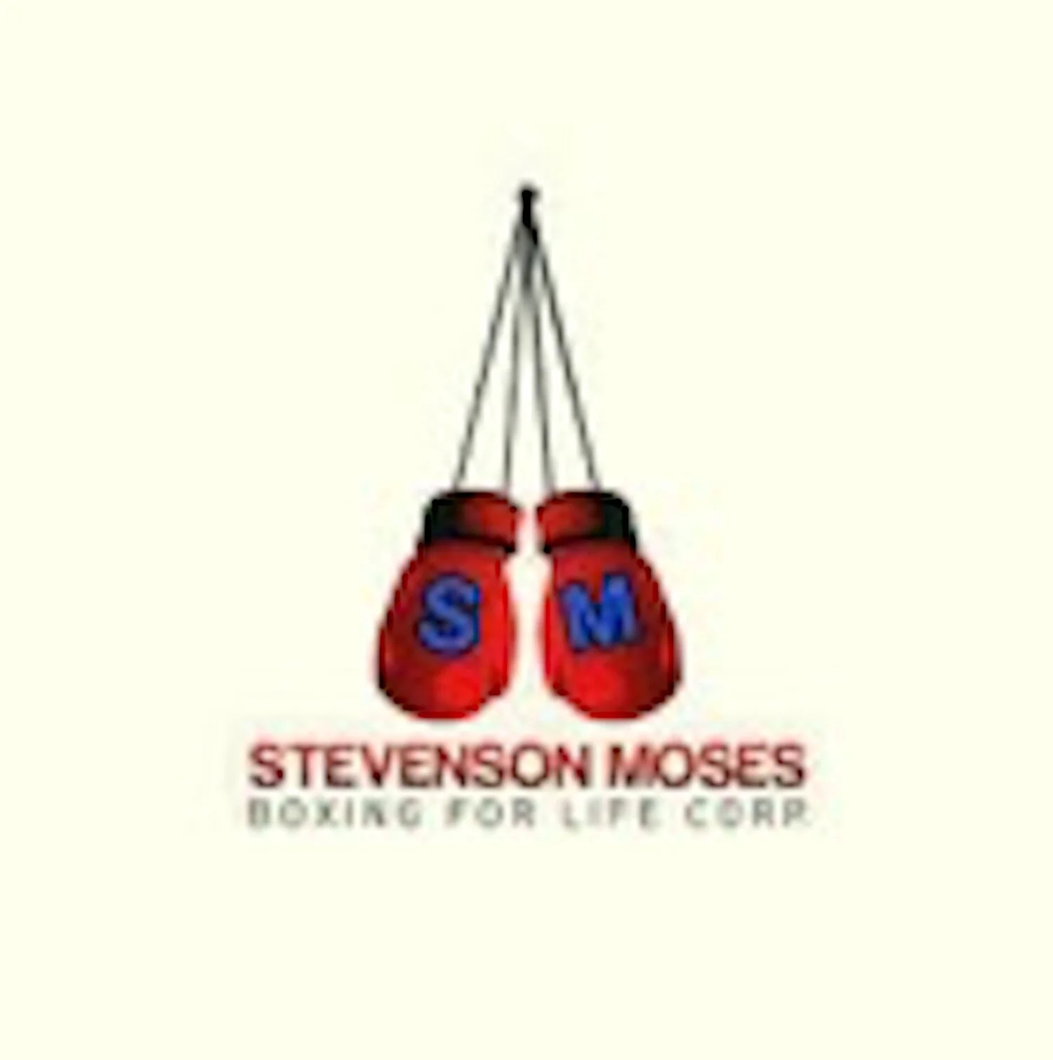 Stevenson Moses Boxing For Life Copr.jpg