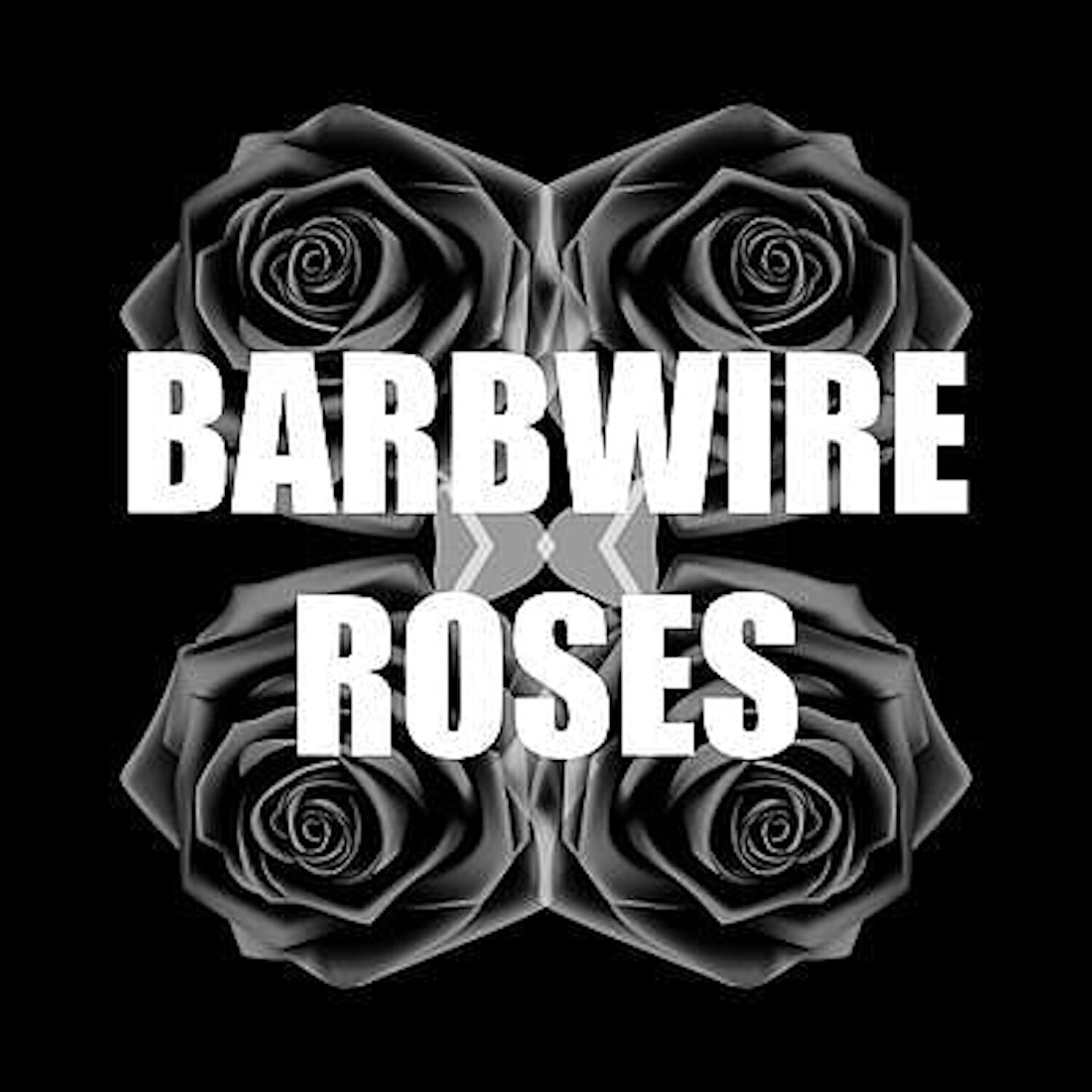 Barbwire Roses IMG_20191106_144046_707.jpg