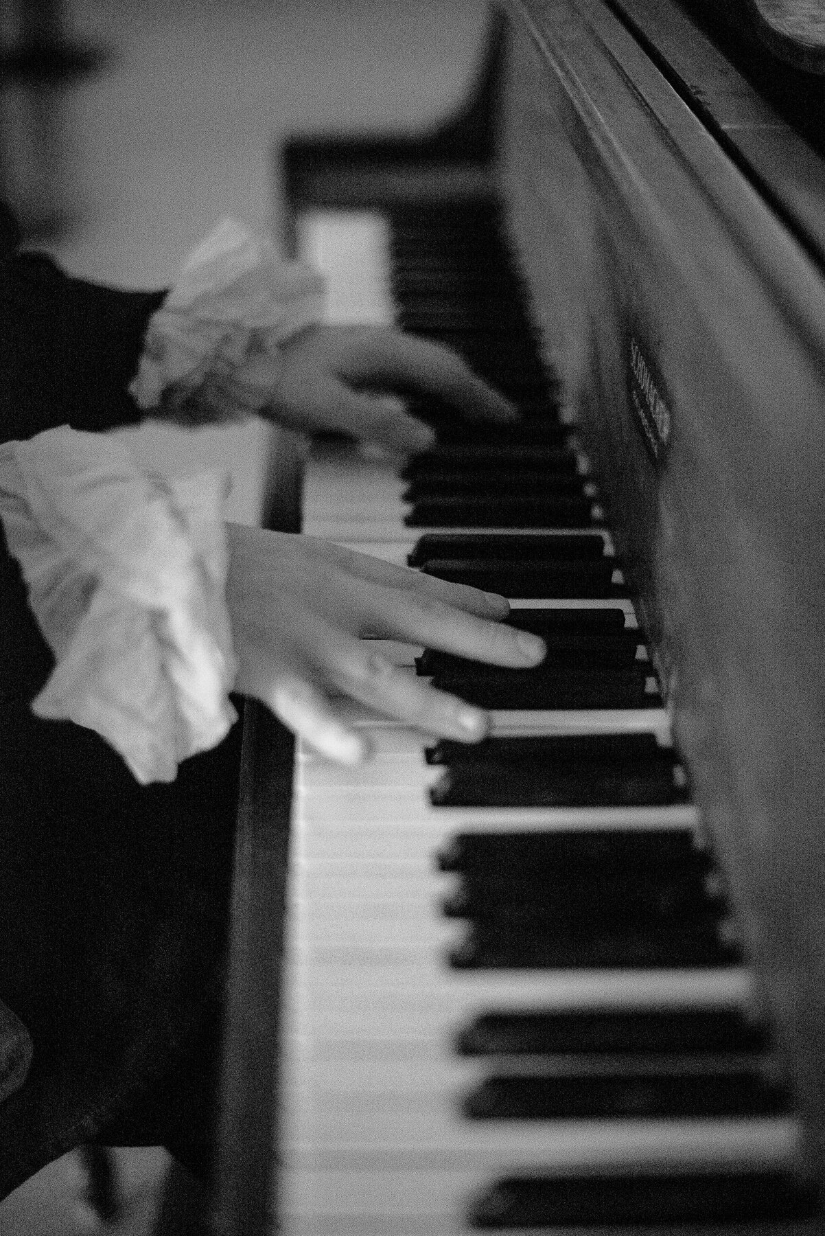 piano portrai.jpg