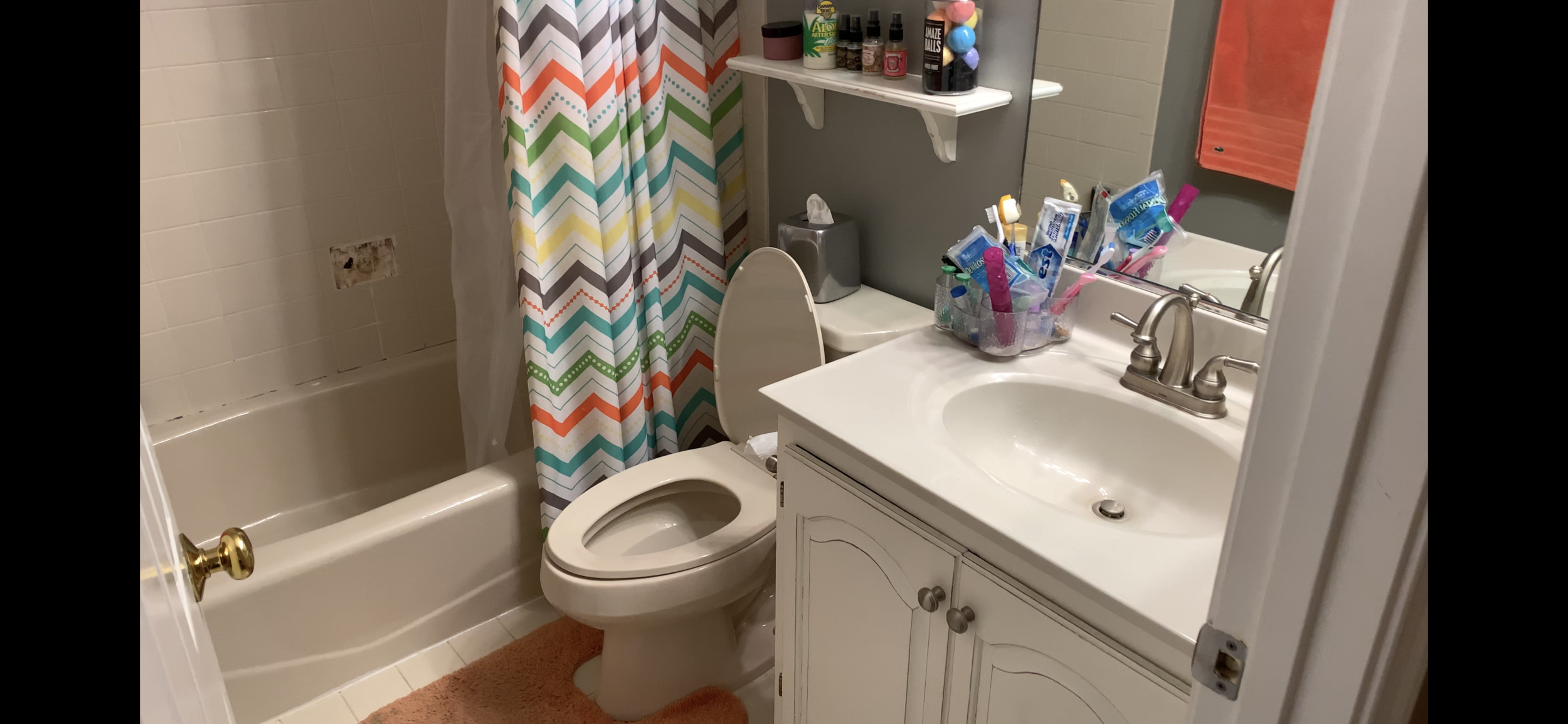 oakton bathroom before.PNG