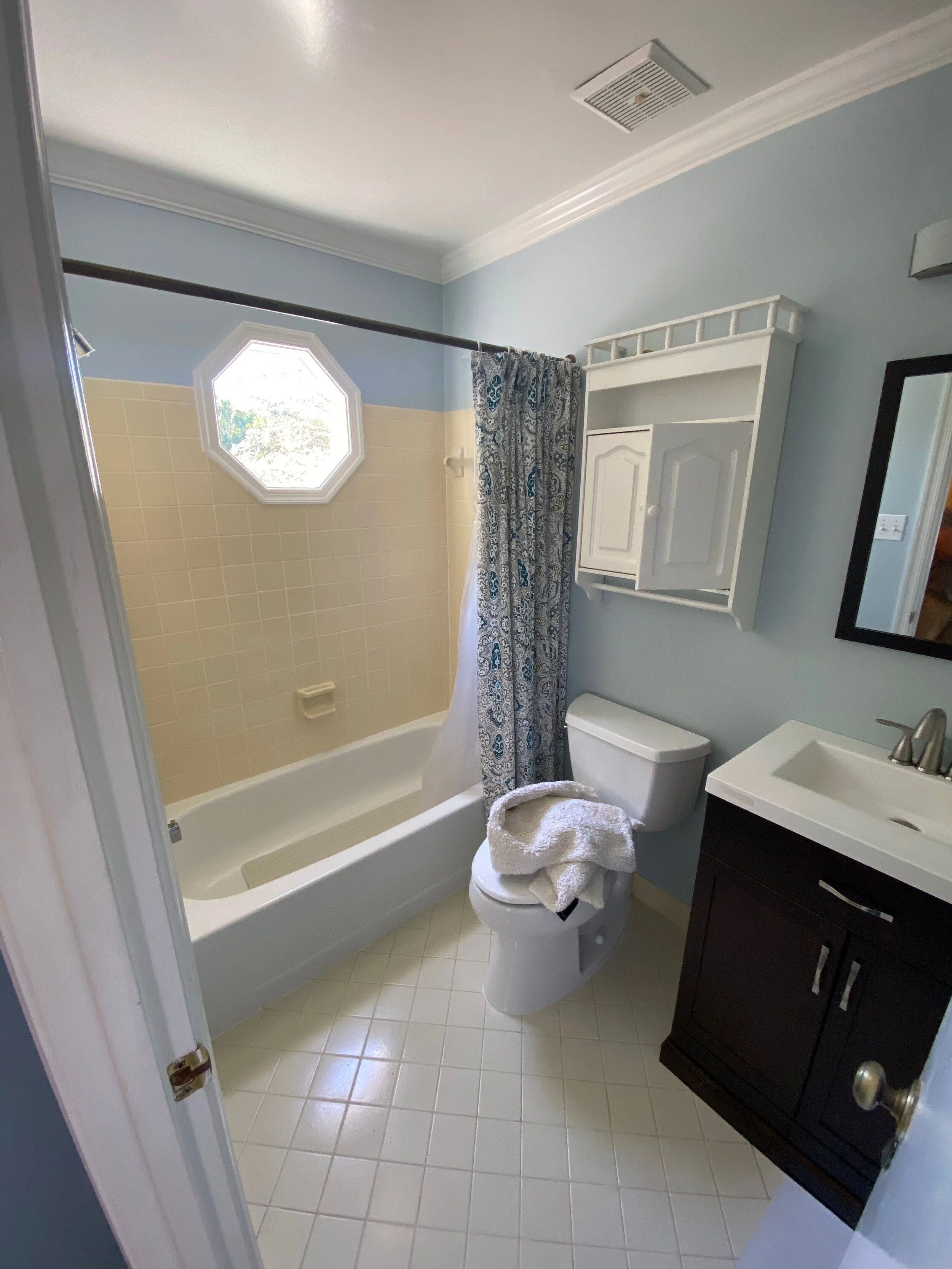 Reston guest bath geotek before.jpeg