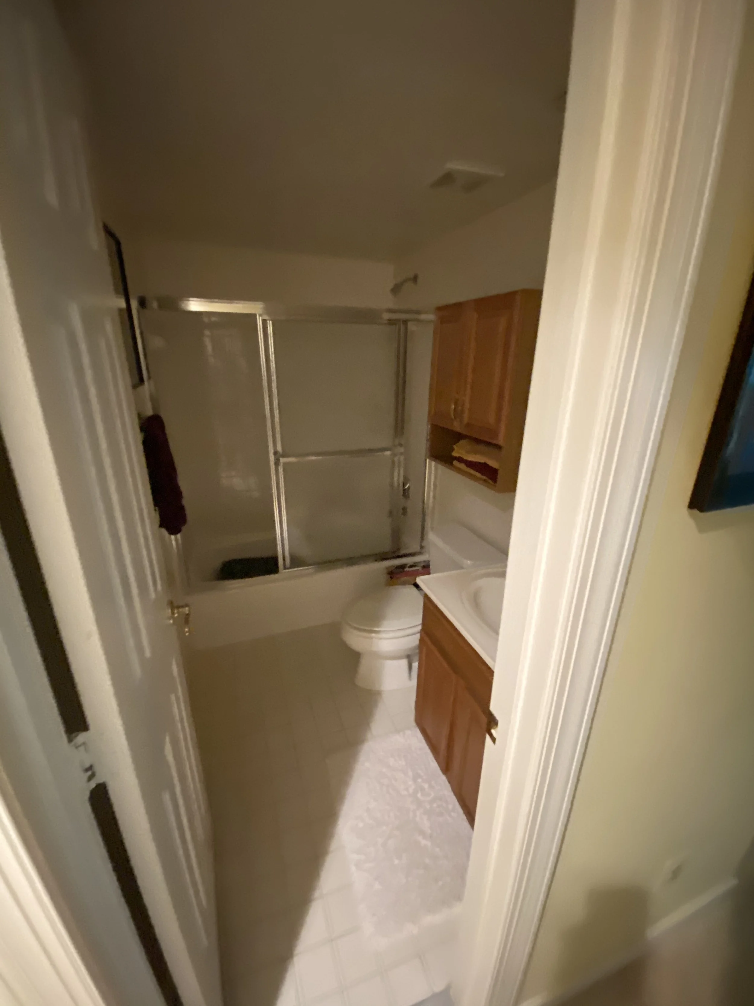 Oakton basement bathroom before geotek.jpeg