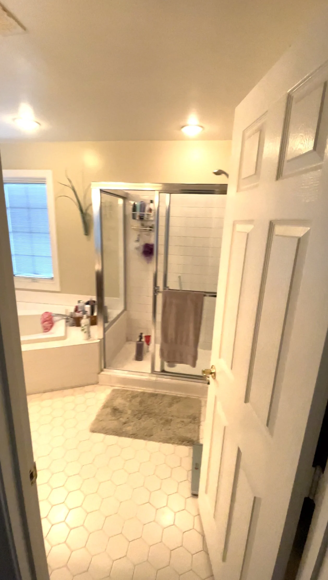 reston master bath before geotek 1.jpg