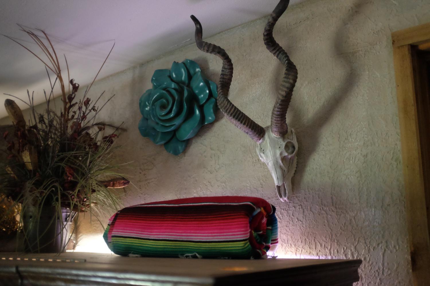 Serape blanket rolled up in wildlife scene