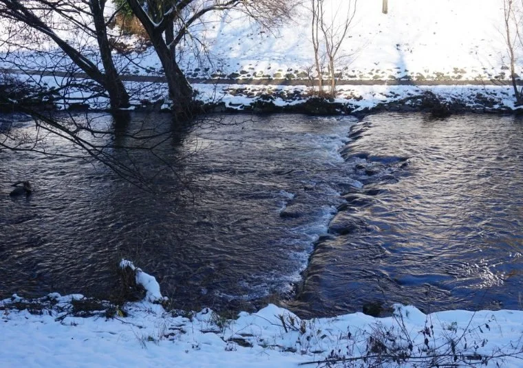 Contrastive Syntax. English/Spanish