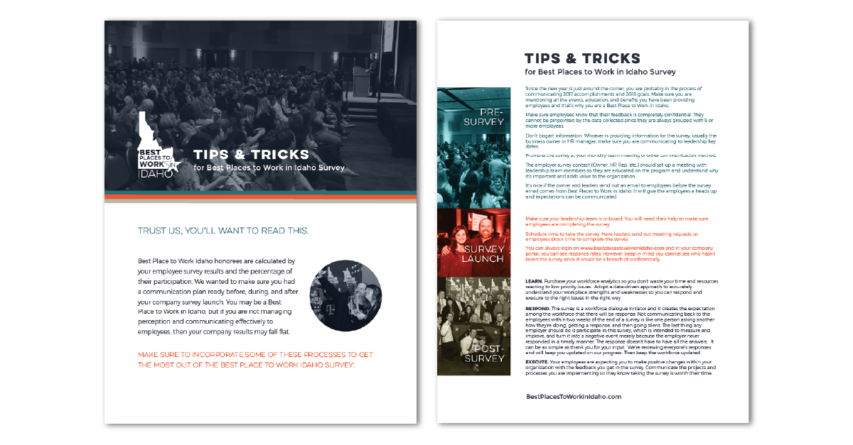   Flyer design  