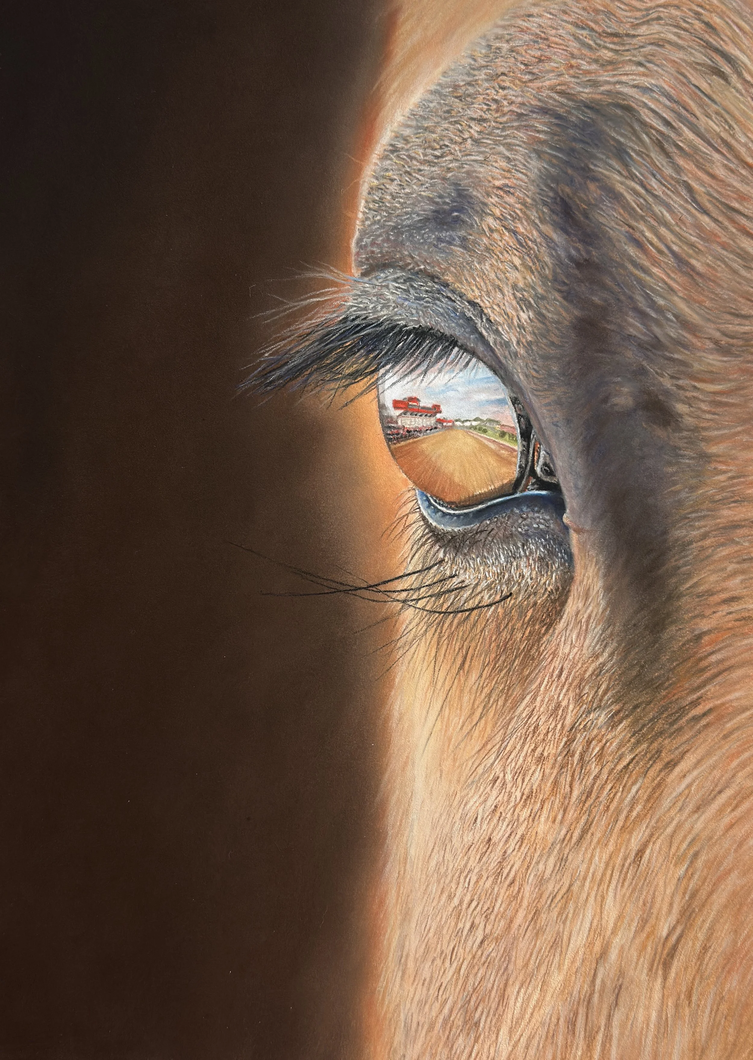 Preakness ABriggs_2.jpg