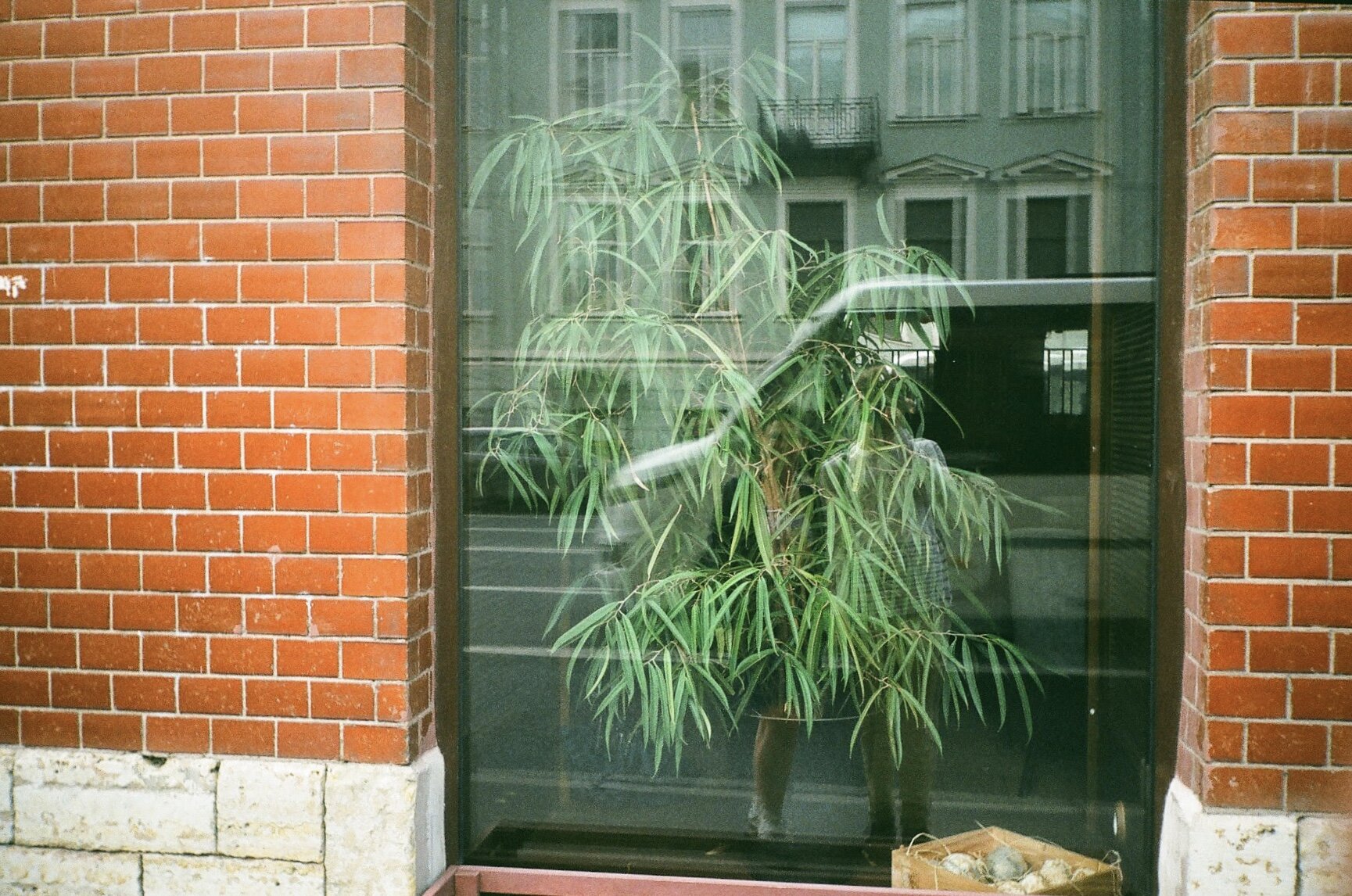 image4.jpeg
