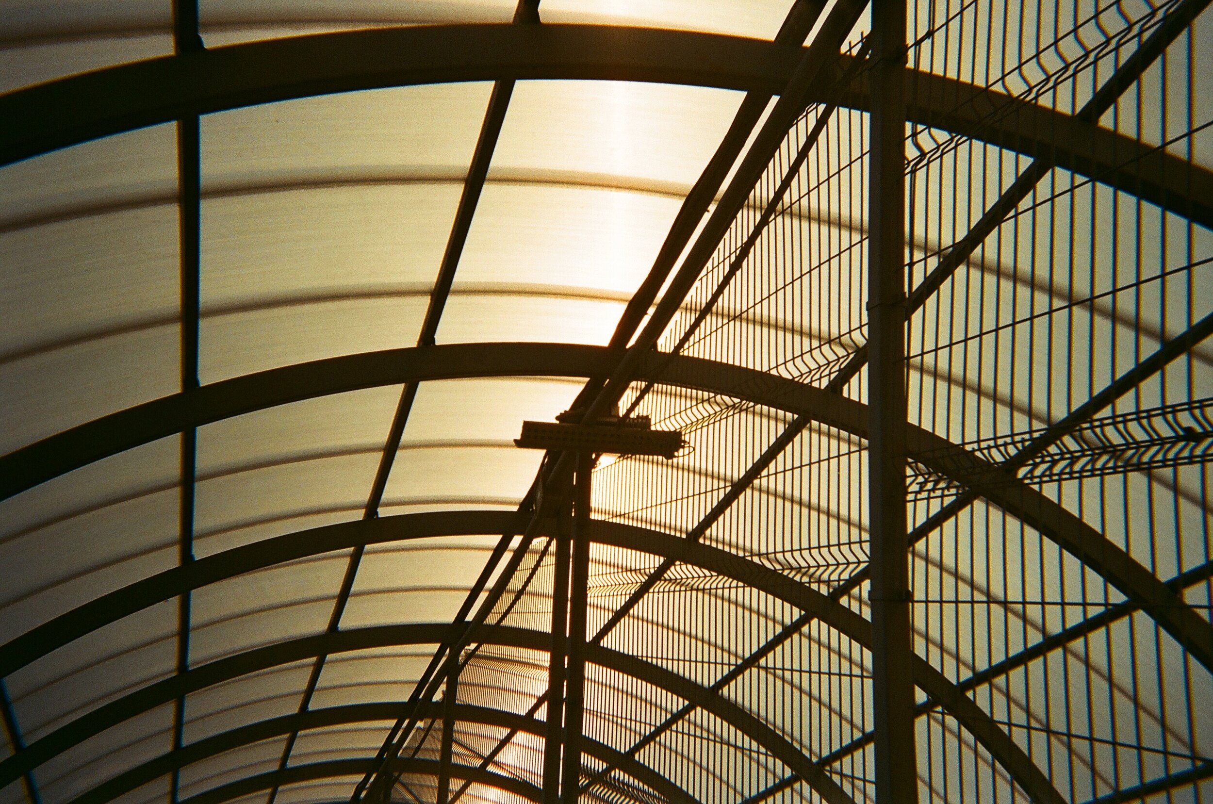 image5.jpeg