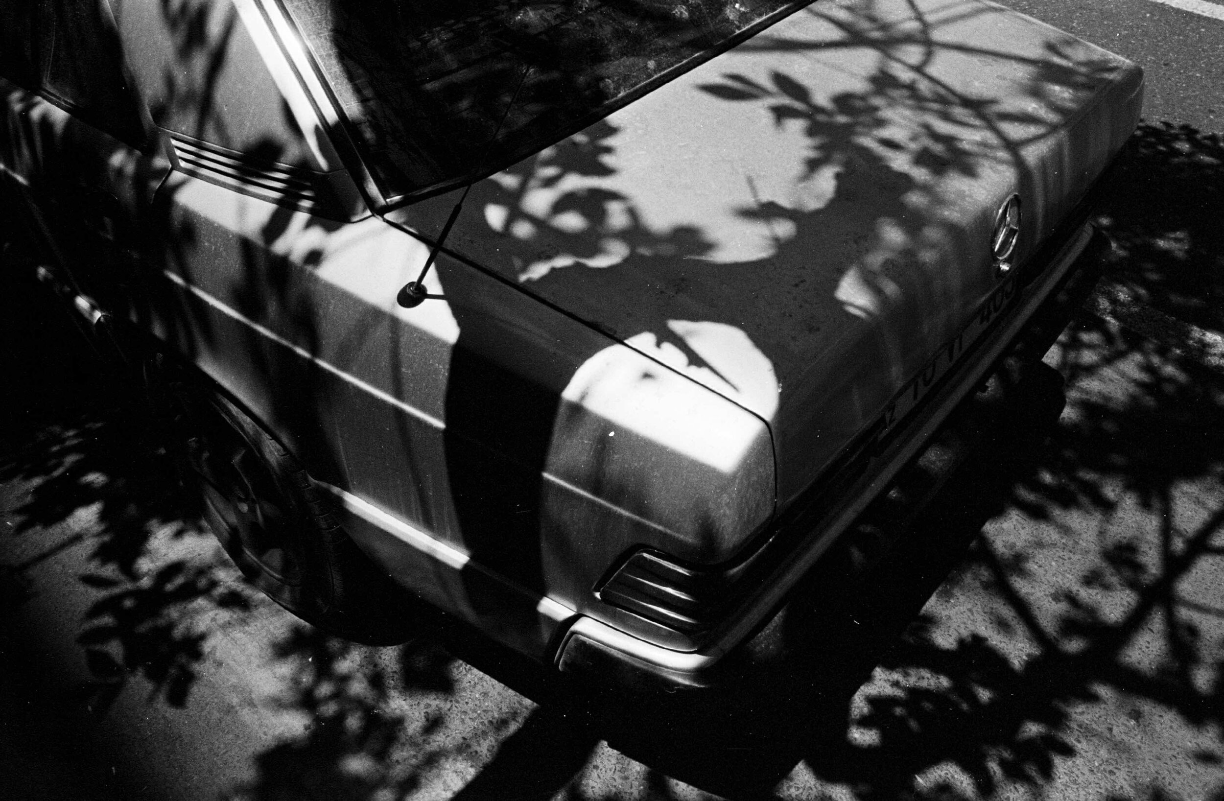 Nikon FM 6.jpeg