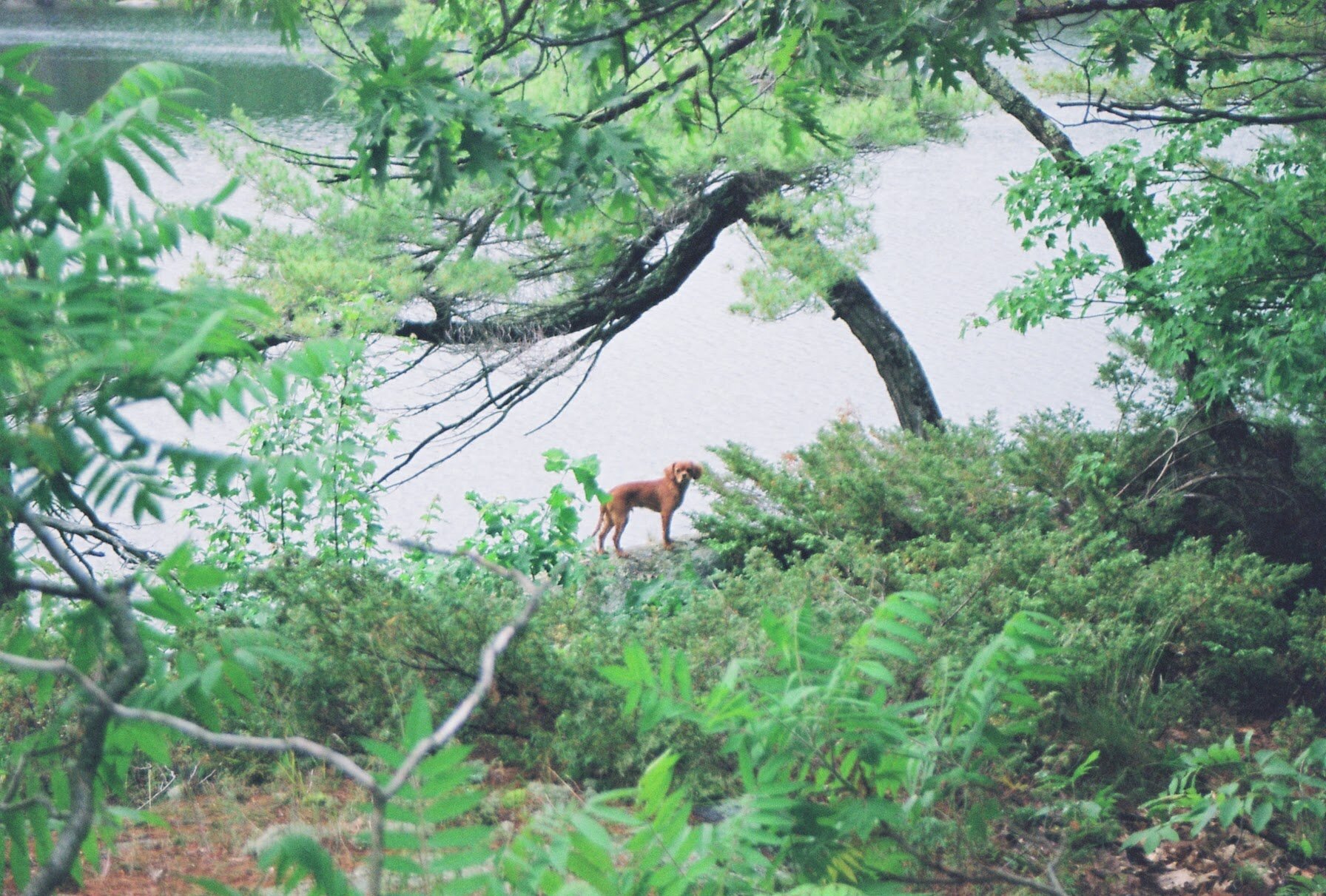 image5.jpeg