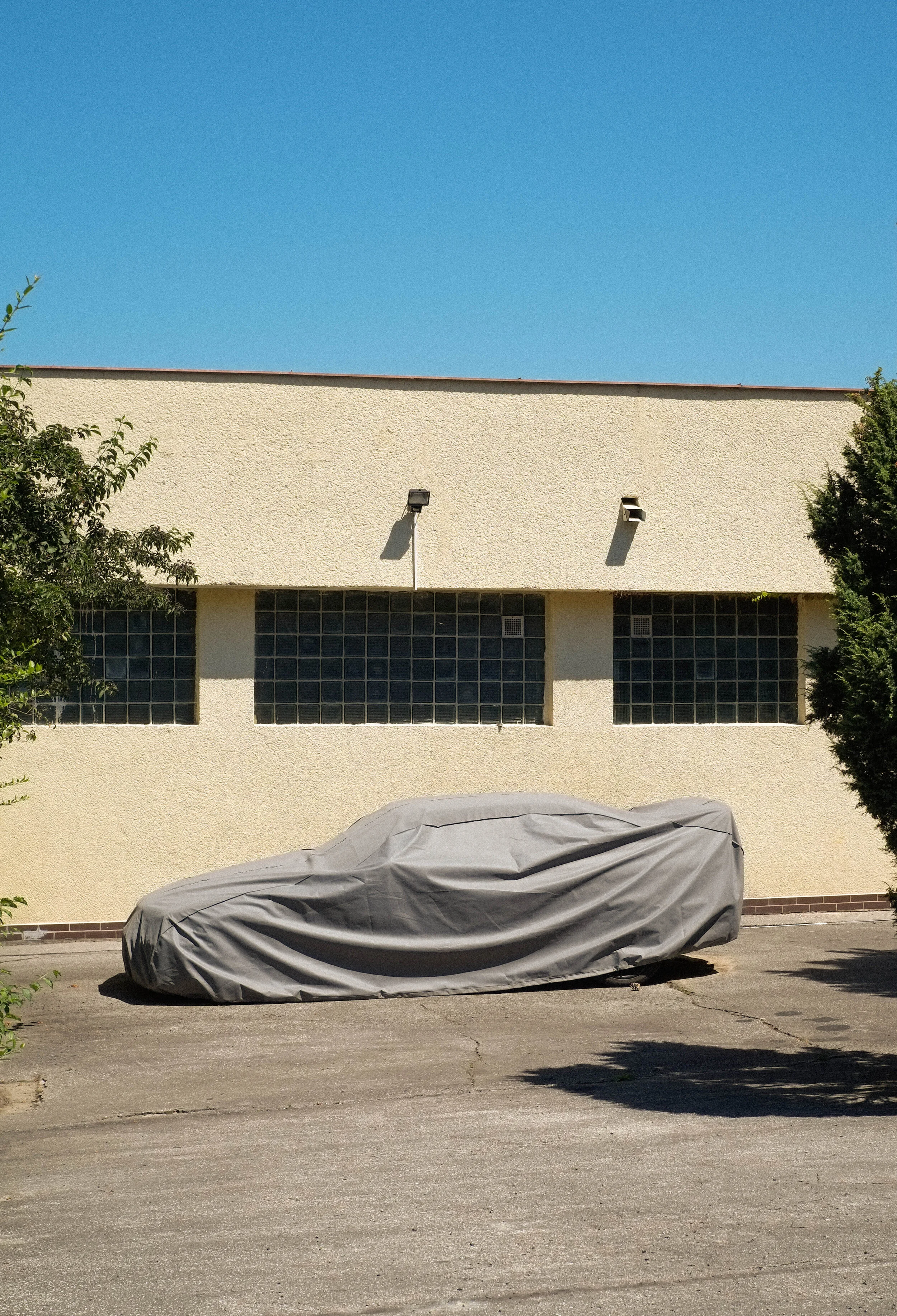 _DSF5474.jpg