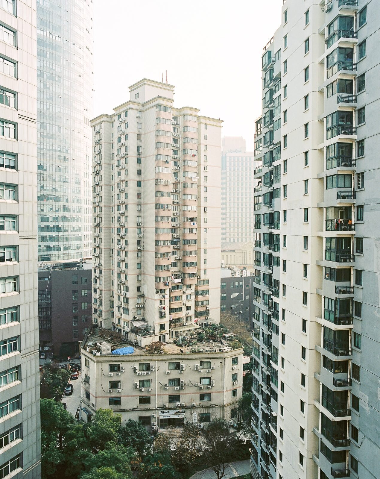 2020-01-12 Shanghai Analog - 5-10.jpeg