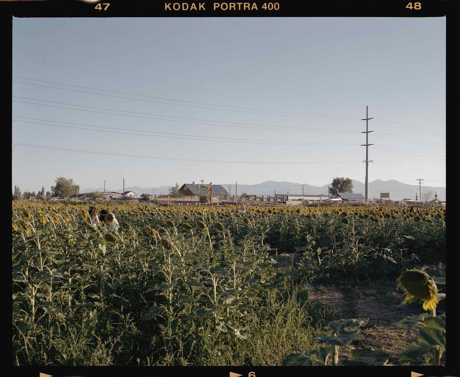 img0013-positive.jpeg