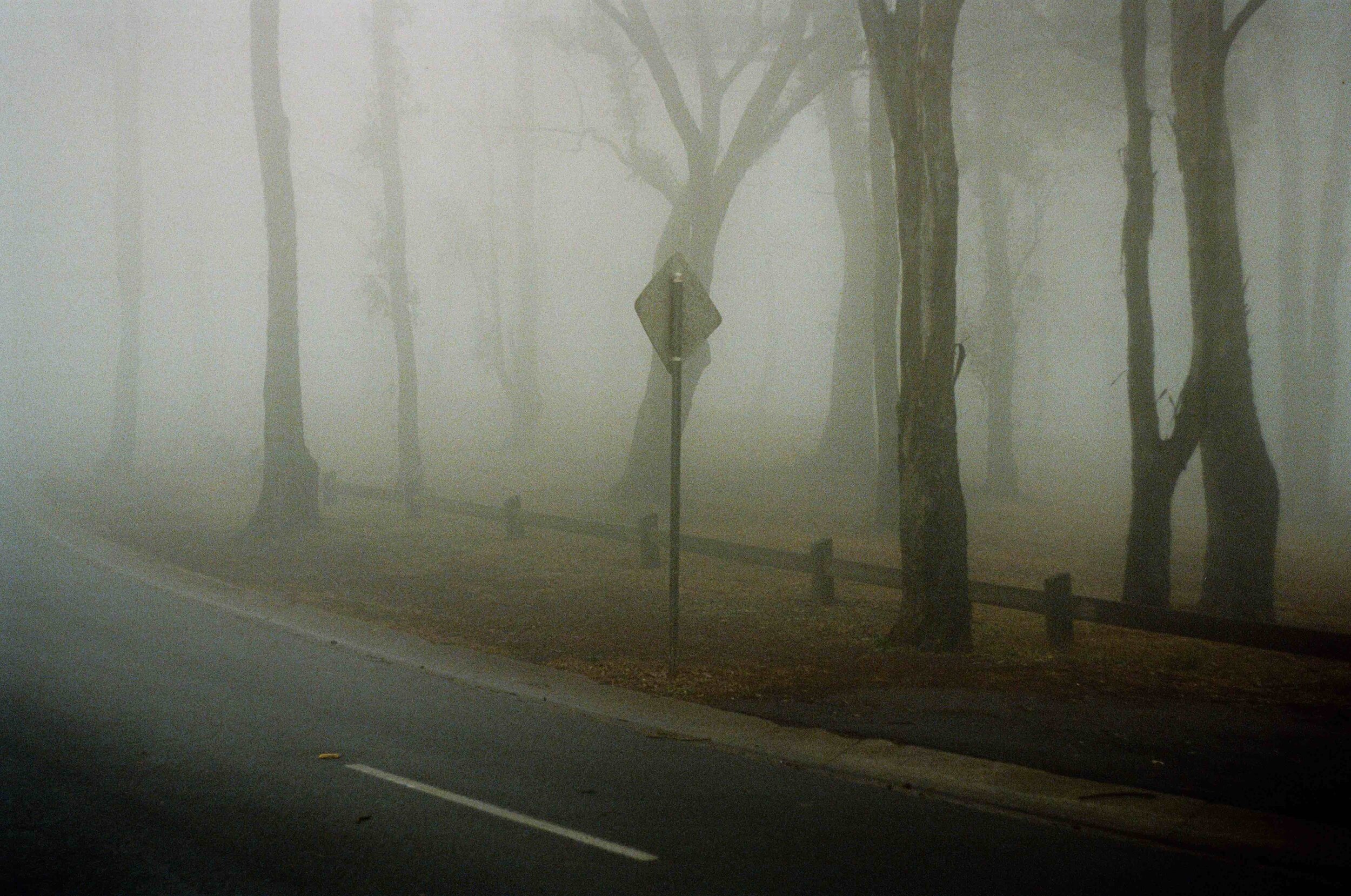 Sign Fog 3mb.jpeg
