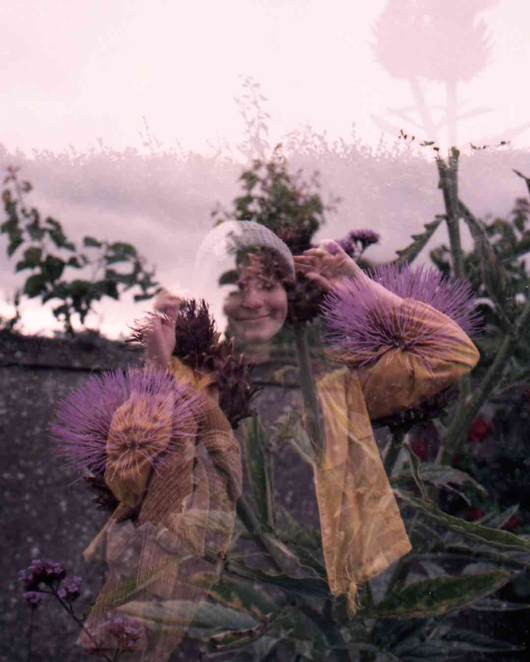 thistle double expo (1 of 1).jpeg