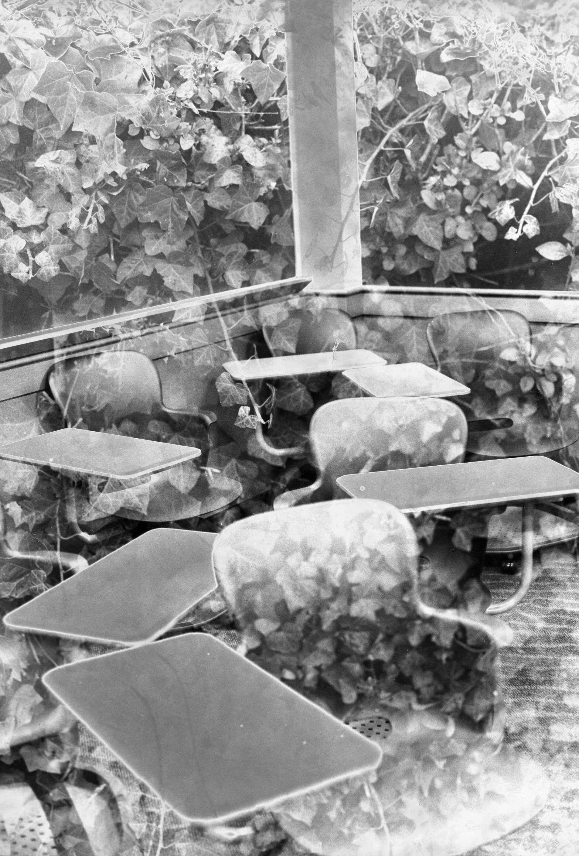 solarized double exposure for gallery.jpg