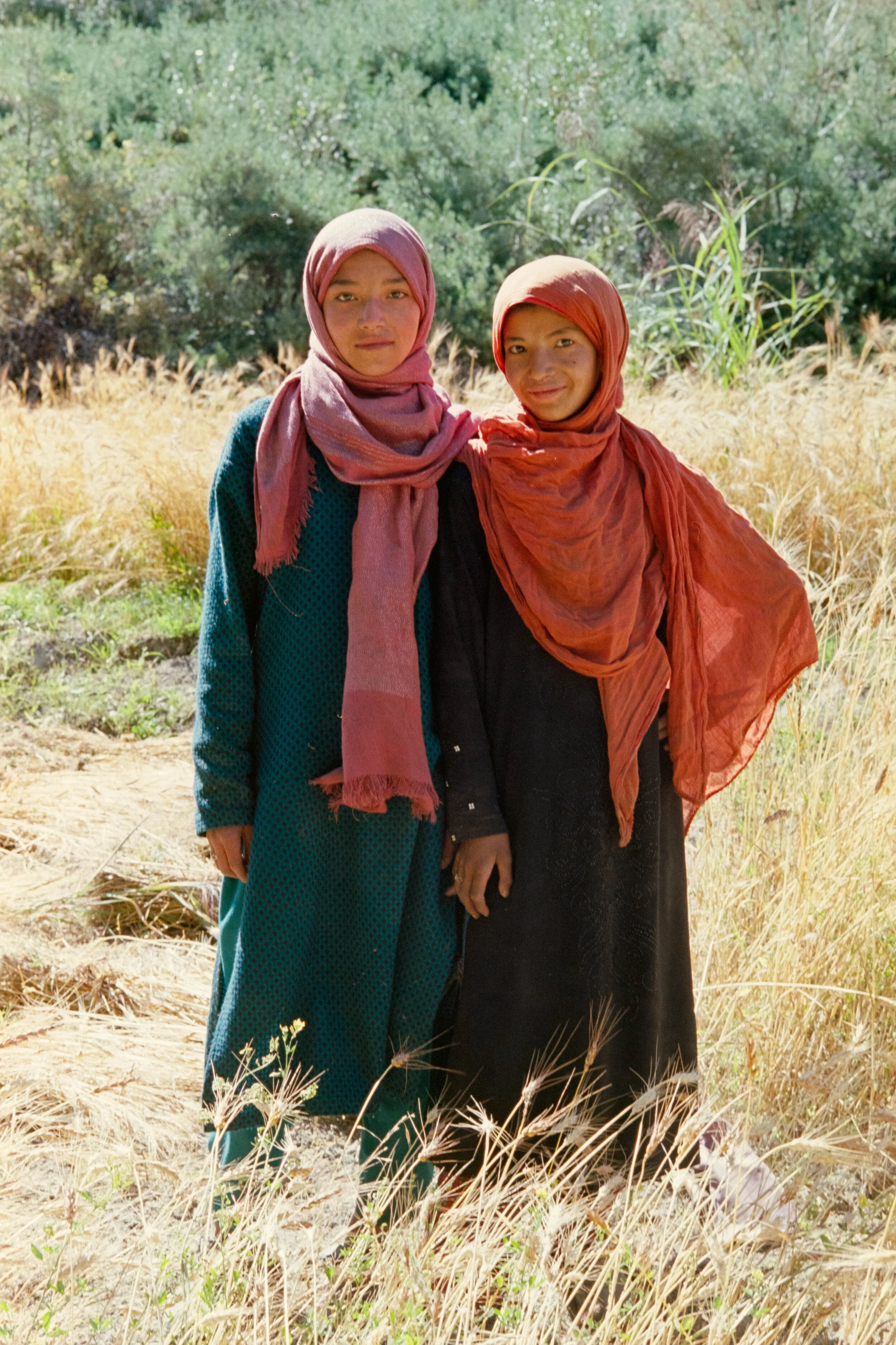 r41_11.jpg