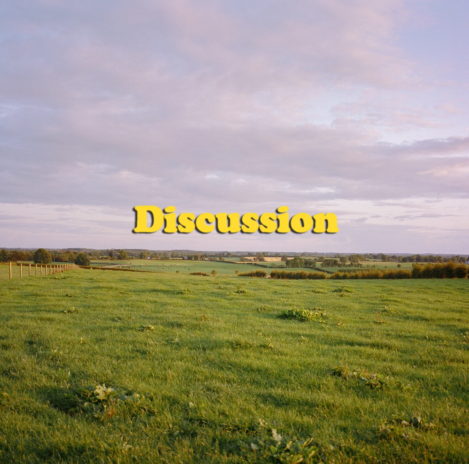 Discussion