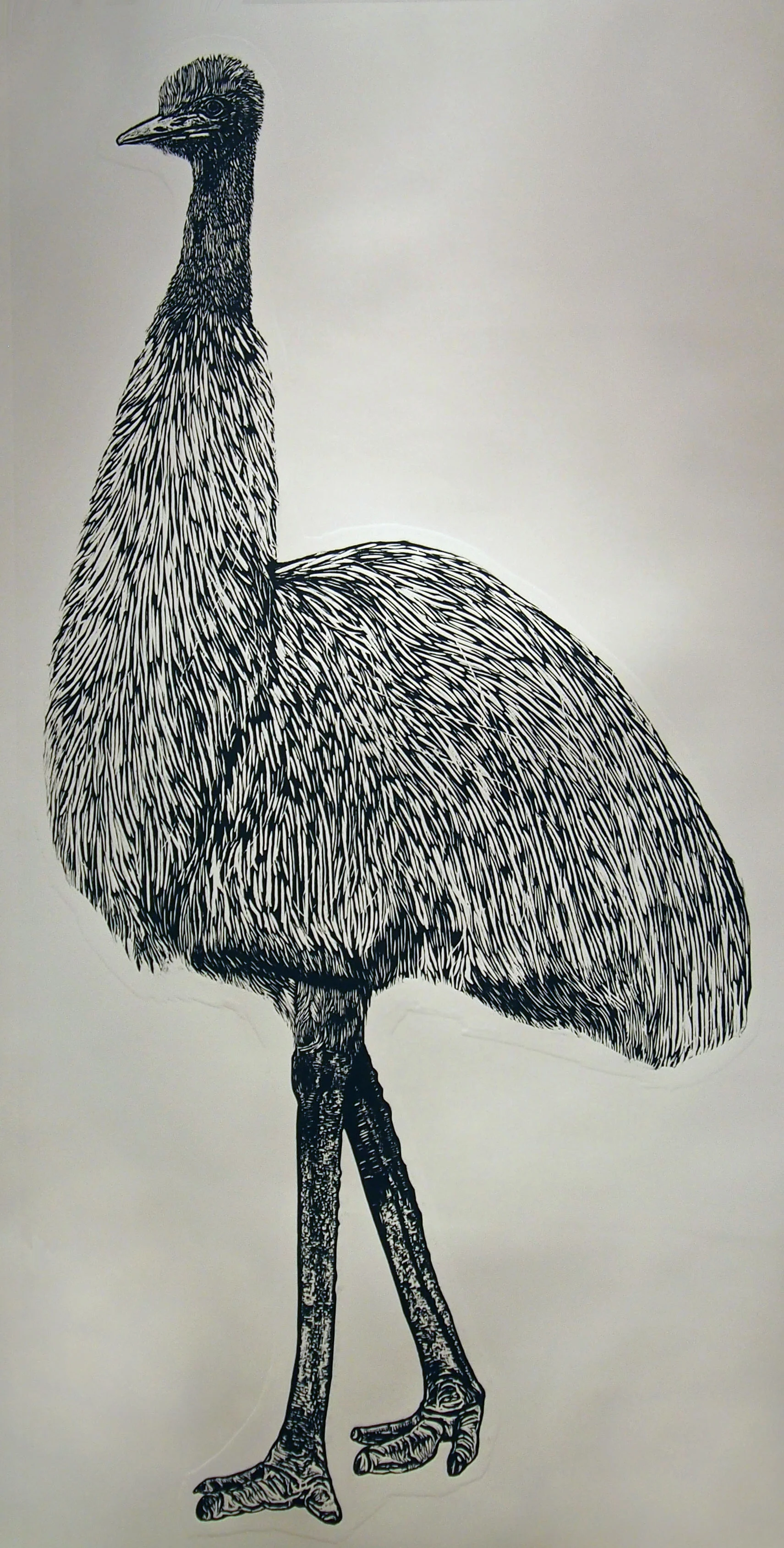 Emu.jpg