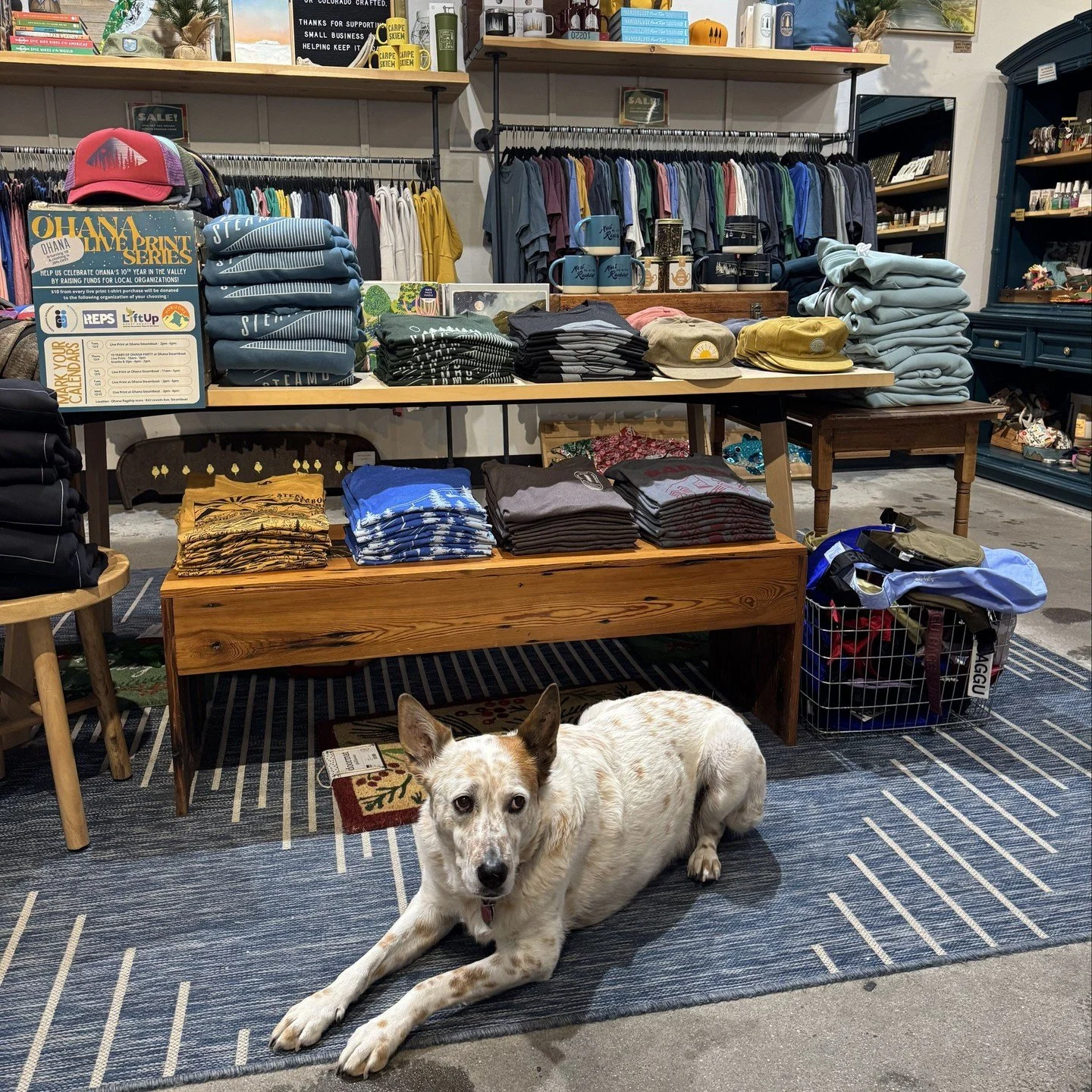 Even our four-legged customers are stopping by for the 10th Anniversary Sale deals. 🐾 Tomorrow (12/10) is the last day - don't miss it! 🛍️✨ ⁠
⁠
Get 20% off all screen printed goods in store in Steamboat &amp; Breck + online! ⁠
⁠
If you're shopping 