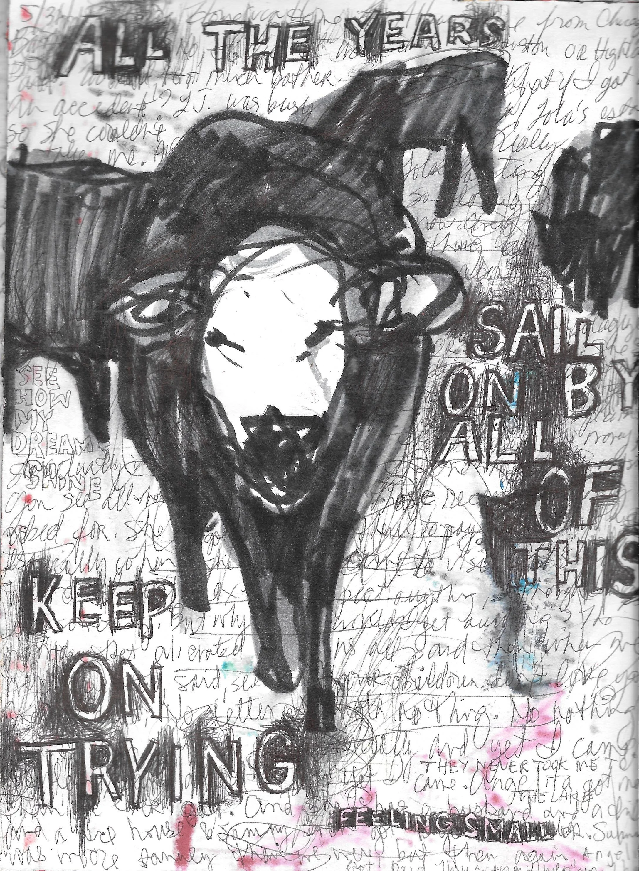 cow1.jpg