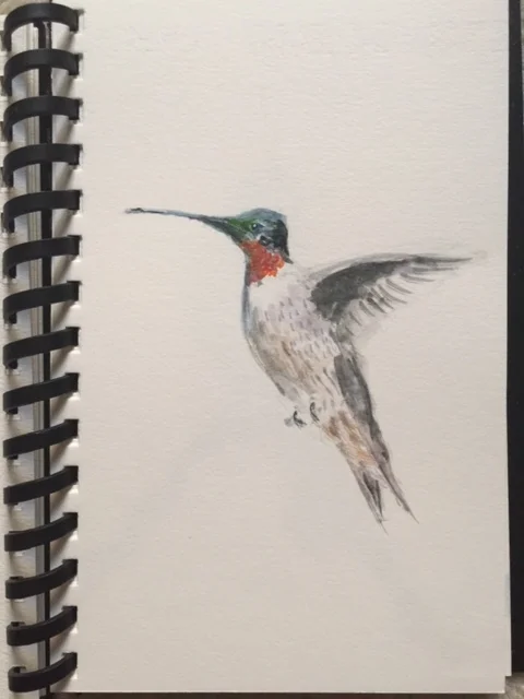 The Case for Watercolor and Birds...
