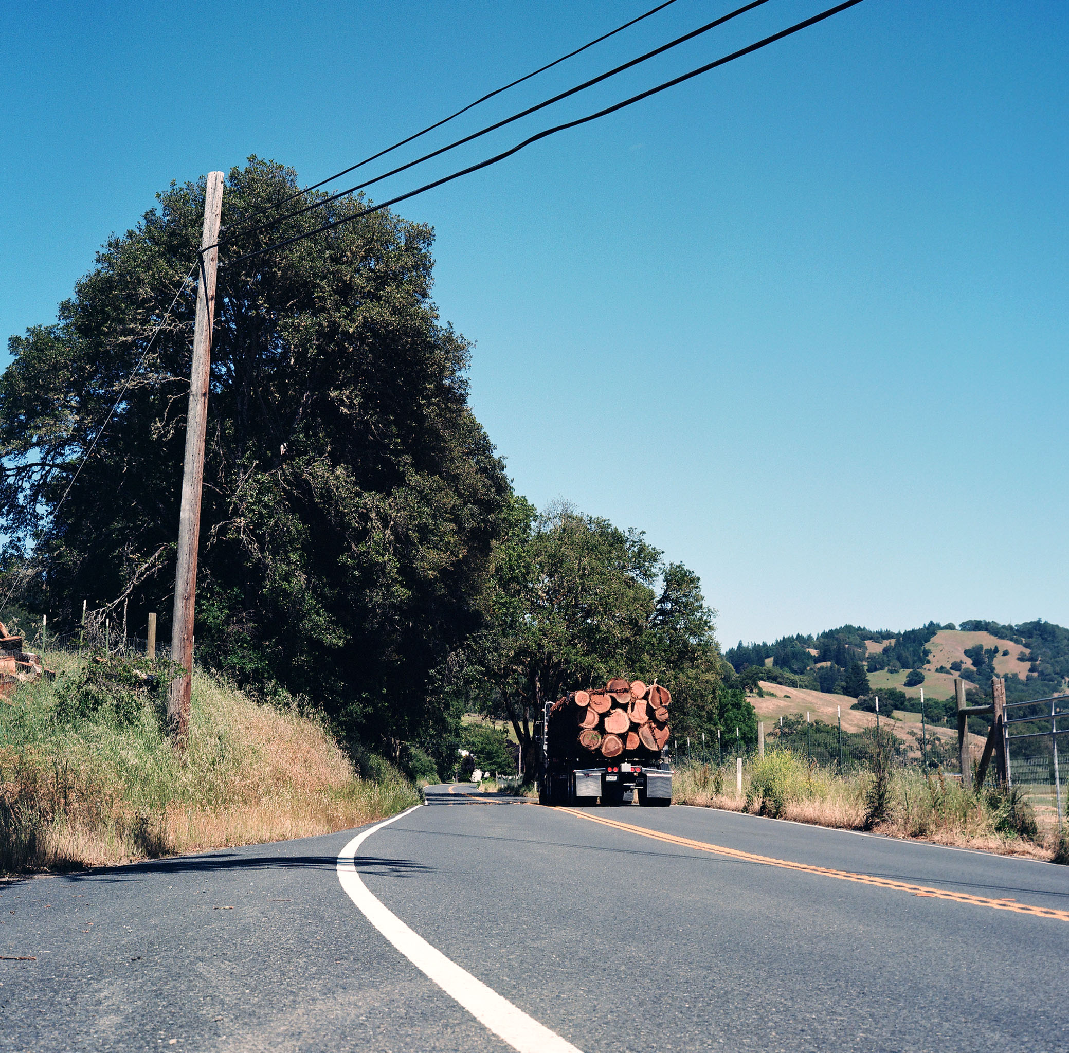 timbertruck.jpg