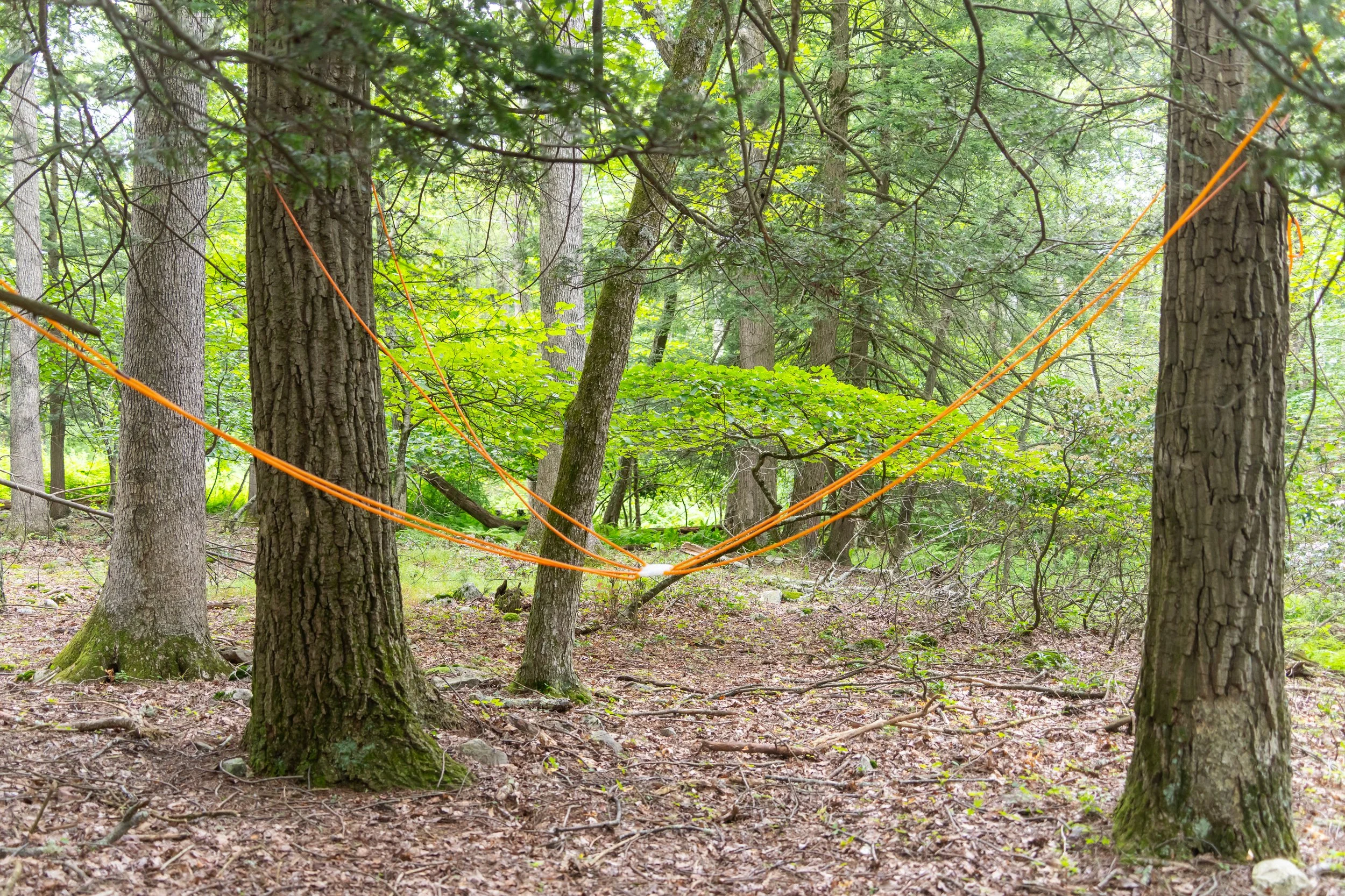 "Thing from Another World II" 2025, latex tubing and alabaster, dimensions variable