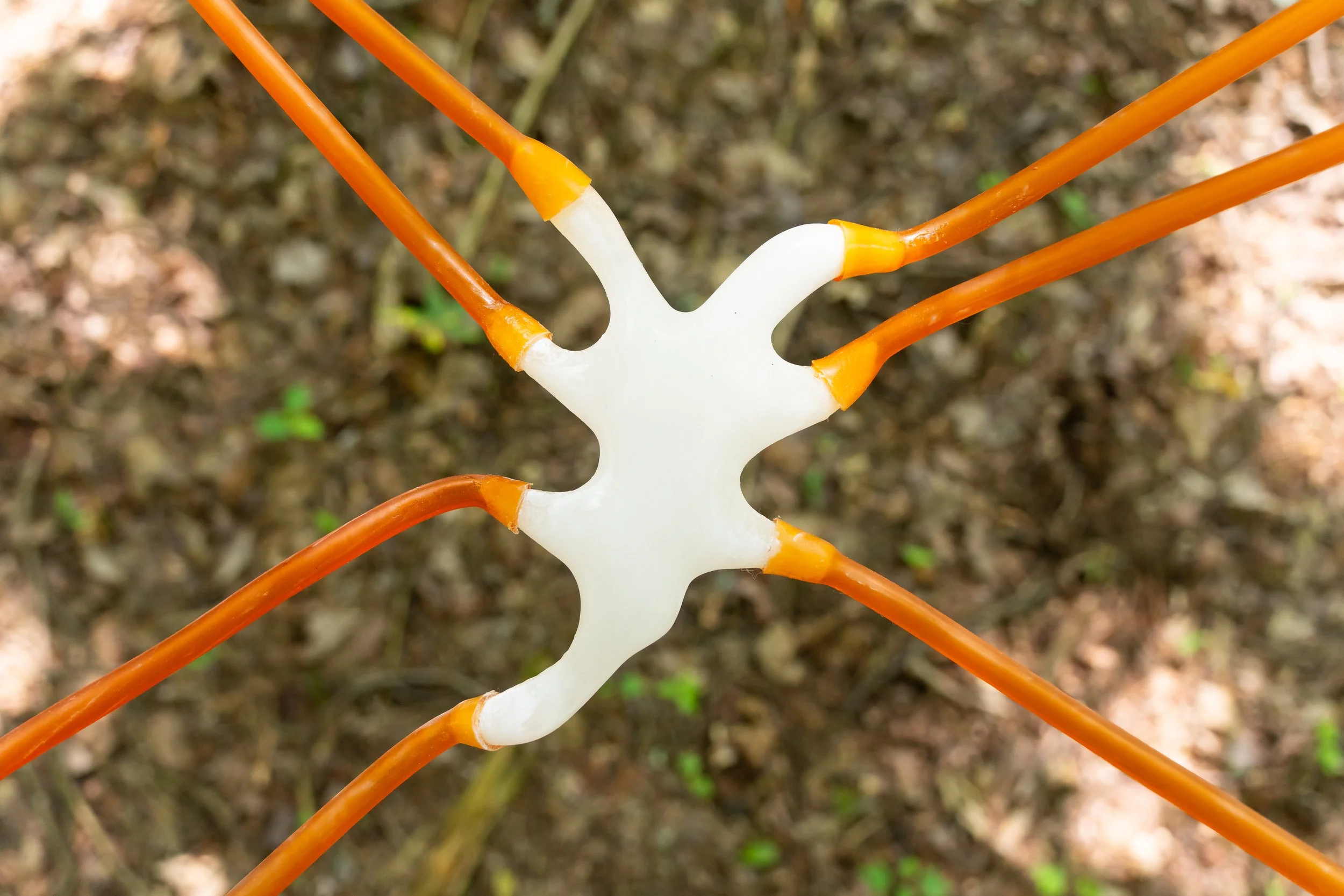 "Thing from Another World II" (detail) 2025, latex tubing and alabaster, dimensions variable
