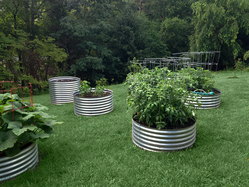 BENT CREEK RESIDENCE : : Garden Design