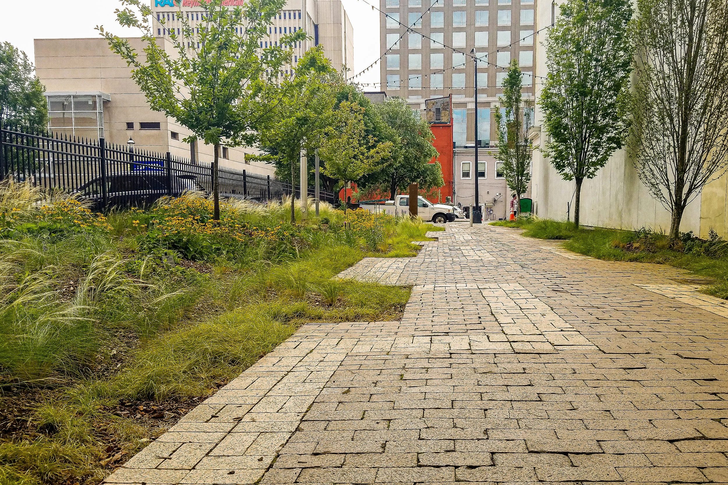 20190613_105040-2.jpg