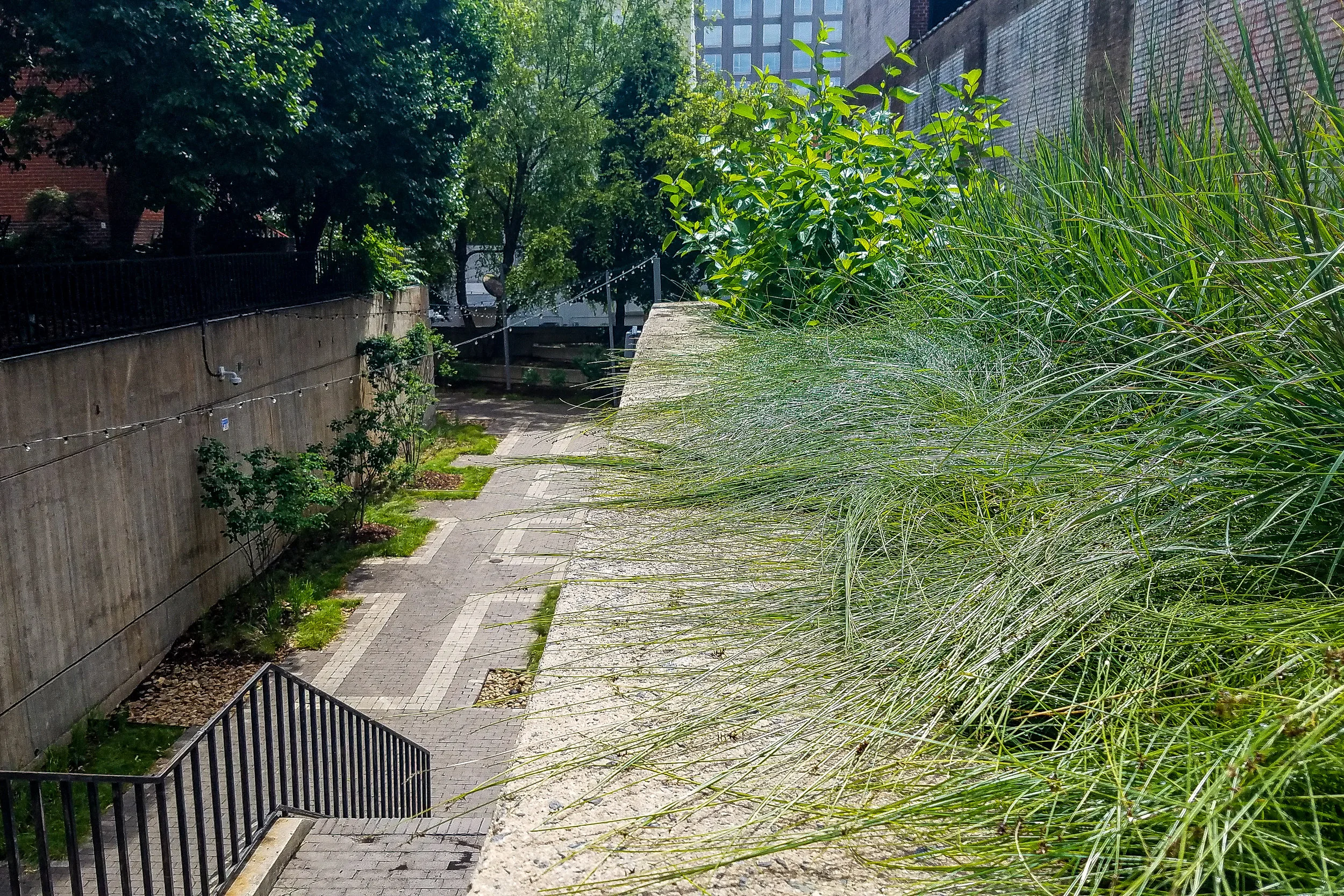 20190613_105530-2.jpg
