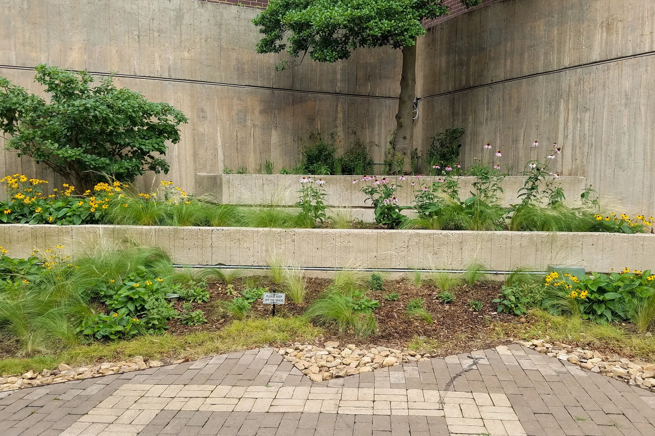 20190613_105134-2.jpg