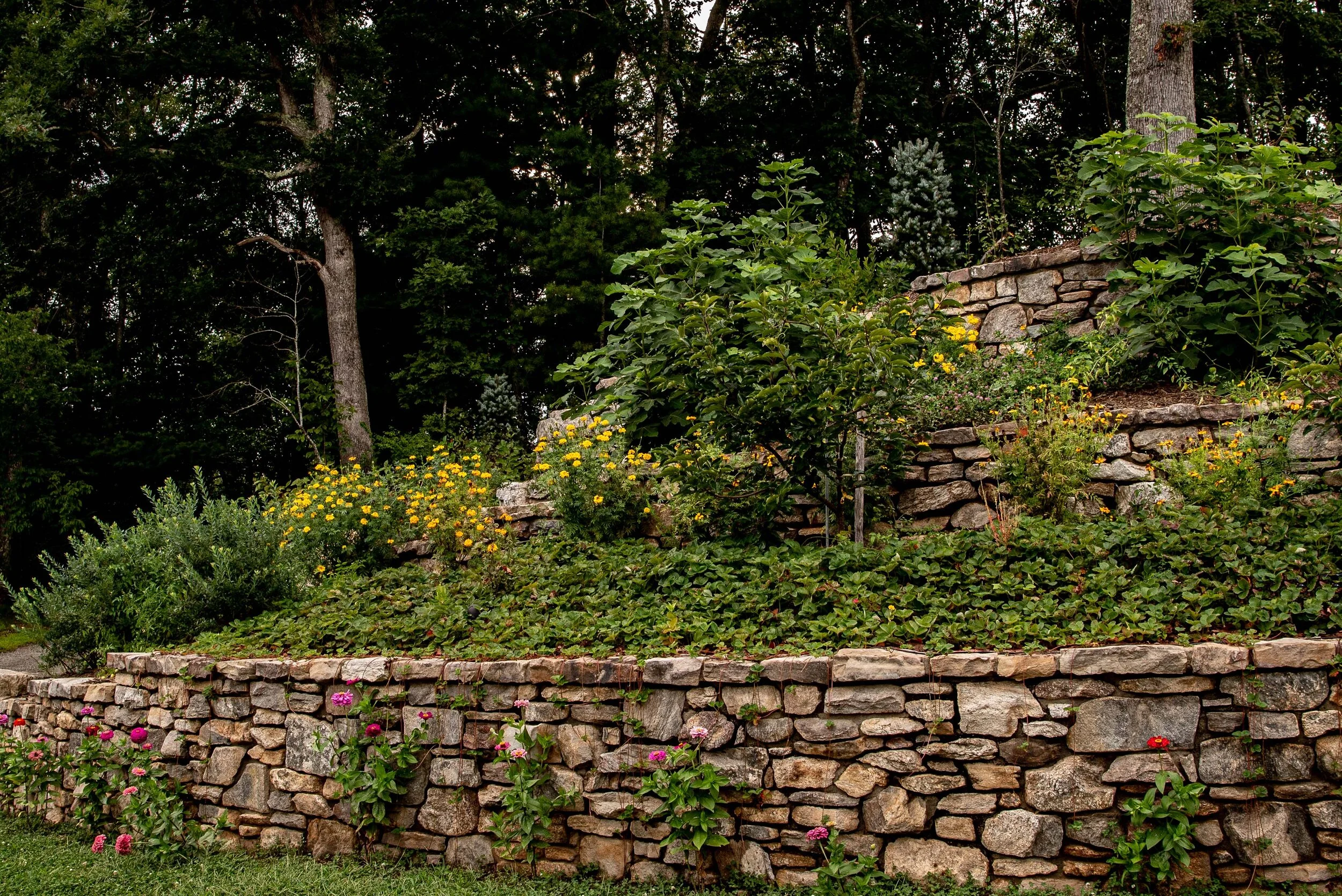 Osgood Landscape Architecture