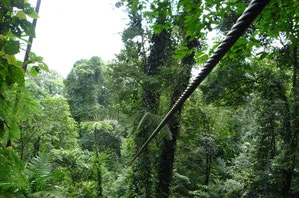 canopy tour.jpg