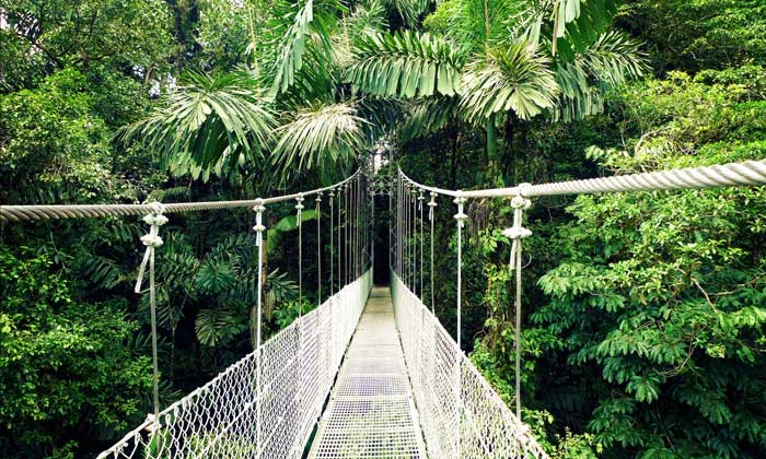Hanging Bridges Tour